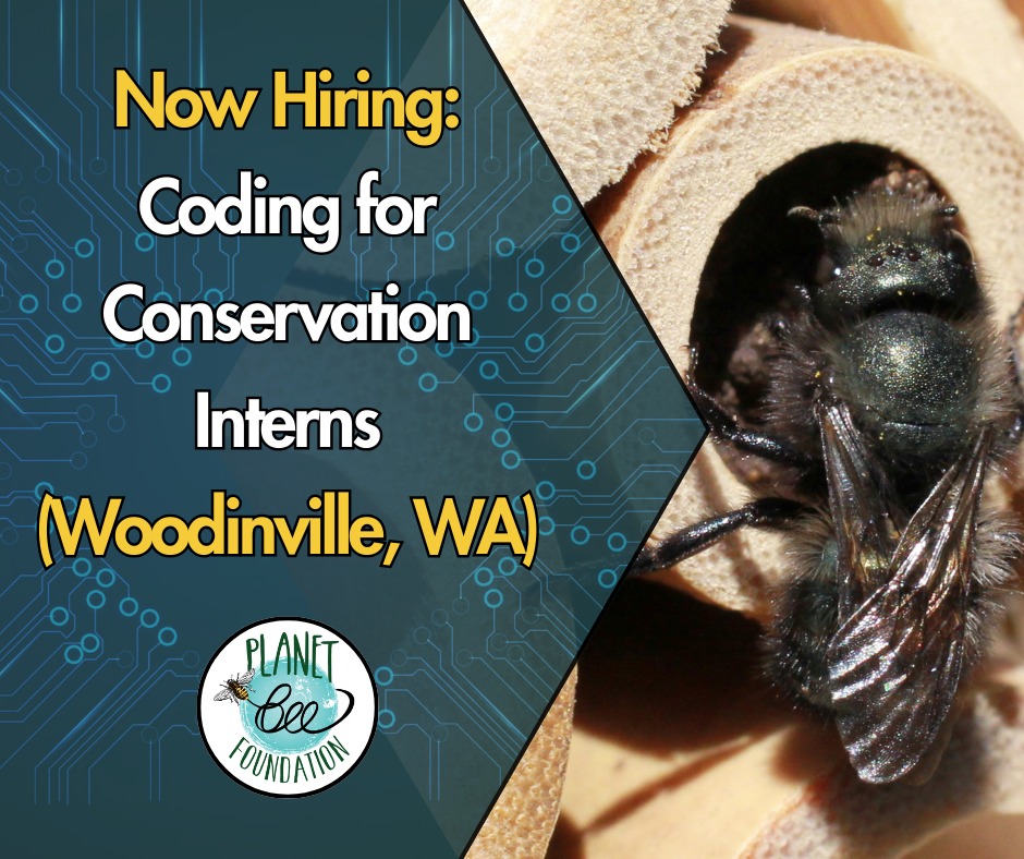 🐝 Now hiring interns to support a STEM and environmental education pilot program in Woodinville, WA. 🐝
Interested in conservation and education? This internship is a hands-on learning experience working directly in a middle school classroom.
The selected interns will work with students in Northshore School District, supporting in-person activities, coding and data-collection lessons, and mentoring students in conservation and technology.
Interested or know someone who is? Share this post with them!
https://www.planetbee.org/career/coding-for-conservation-intern-%28woodinville%2C-wa%29