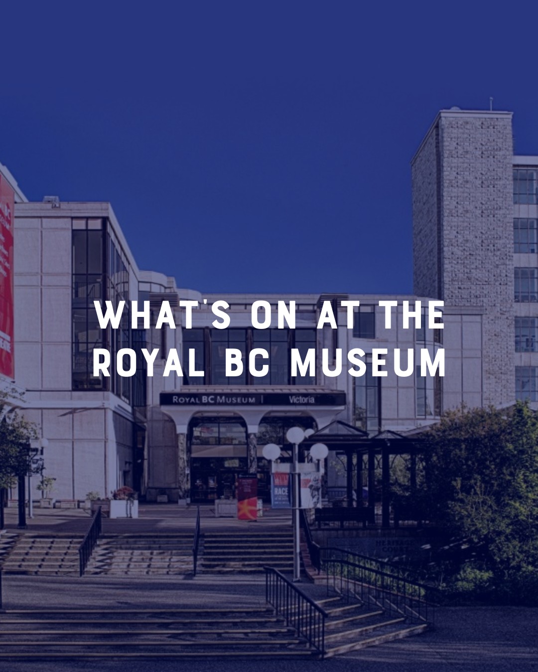 ✨ ROYAL BC MUSEUM @ Victoria at Dusk ✨
Step into a glowing pocket of experiences centred around place, nature, and ecology at one of the most iconic stops along the glowing route.
The @royalbcmuseum will be packed with light, interactive moments, storytelling, and hands-on creativity—perfect for families, art lovers, and curious night wanderers. Here’s what you’ll discover at this art hub:
Lamplit Art Society – Lampchanted Garden @wearelamplit
Big Candle Collective – Big Candle
Dahlila Charlie - (WEXES) Moon of the Frog @dahlila.isabelle
Together A Studio – Creatures @togetherastudio
Soluna Productions – Visual Alchemy @soluna_productions @electric.orbit.designs
Lajah Warren – Under the Cement, We Remember @artwork_by_lajah
Jayeson Lyonns – Illuminated Papercraft Stories @papertractor
Glenlyon Norfolk School – Art Display @mygns
Songhees Tours – Campfire & Storytelling @songhees_tours Lək̓ʷəŋən Dancers (Friday @ 5.30pm)
Ann Chou – Teapot Lanterns Activity (Friday only)
The Aunty Collective – Cedar-Weaving (Saturday/Sunday) @auntycollective
🗺️ Plan your night using the map + schedule (link in bio and on the website victoriaatdusk.ca).
#VictoriaAtDusk #RoyalBCMuseum #YYJEvents #VictoriaBC #PublicArt #LightArtFestival #FamilyDayWeekend #IndigenousArts #NightOutVictoria #DowntownVictoria #ArtAndDiscovery