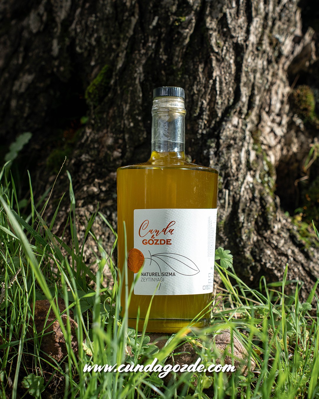 Biliyor muydunuz?
Natürel sızma zeytinyağı en düşük asit oranına sahiptir ve bu sayede hem lezzeti hem sağlığı korunur.
👉🏻www.cundagozde.com
#cundagözde #DoğalÜrünler #YöreselÜrünler #yeşilzeytin #zeytinyagi