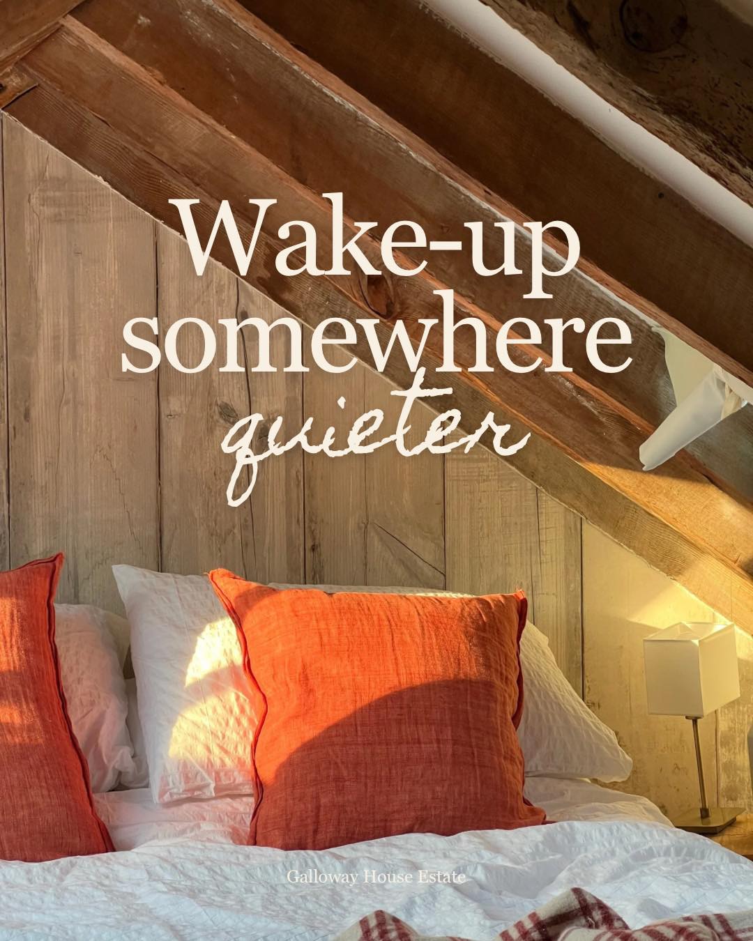 There is something truly precious about simply waking up somewhere ✨quieter✨
Sometimes getting away from city life is all it takes to switch off and reset. A quiet space is here for when the noise gets a little too loud.