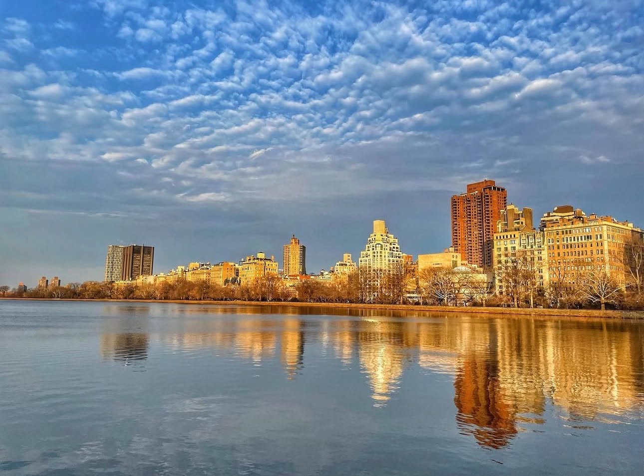 FUN FACT FRIDAY🤓
Frederick Law Olmsted, best known for helping design Central Park in New York City in the mid 1800s, was the first person to formally use the title landscape architect. His work helped establish the profession and showed that shaping outdoor spaces requires both creative vision and practical planning, merging science and art together.
Photo: JLM's creative director, Colleen Parr
Reference:
Service, U. N. (2024). Olmsteds and ASLA. National Park Service. https://www.nps.gov/frla/learn/historyculture/olmsteds-and-asla.htm
#JLM #FunFactFriday #themoreyouknow #LandscapeArchitecture #ilovenewyork ##centralpark