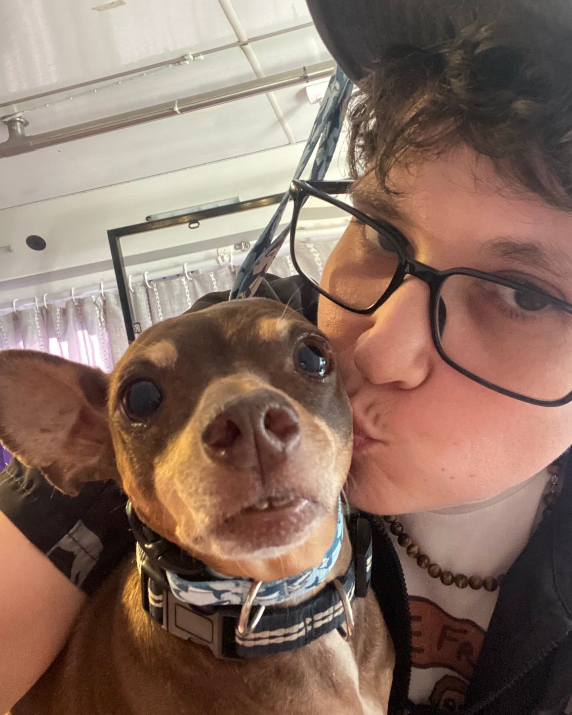 Because every pup deserves a smooch 💛 #mobiledoggrooming #mobilespaw #spawday #doggroomingsfv #chihuahualife