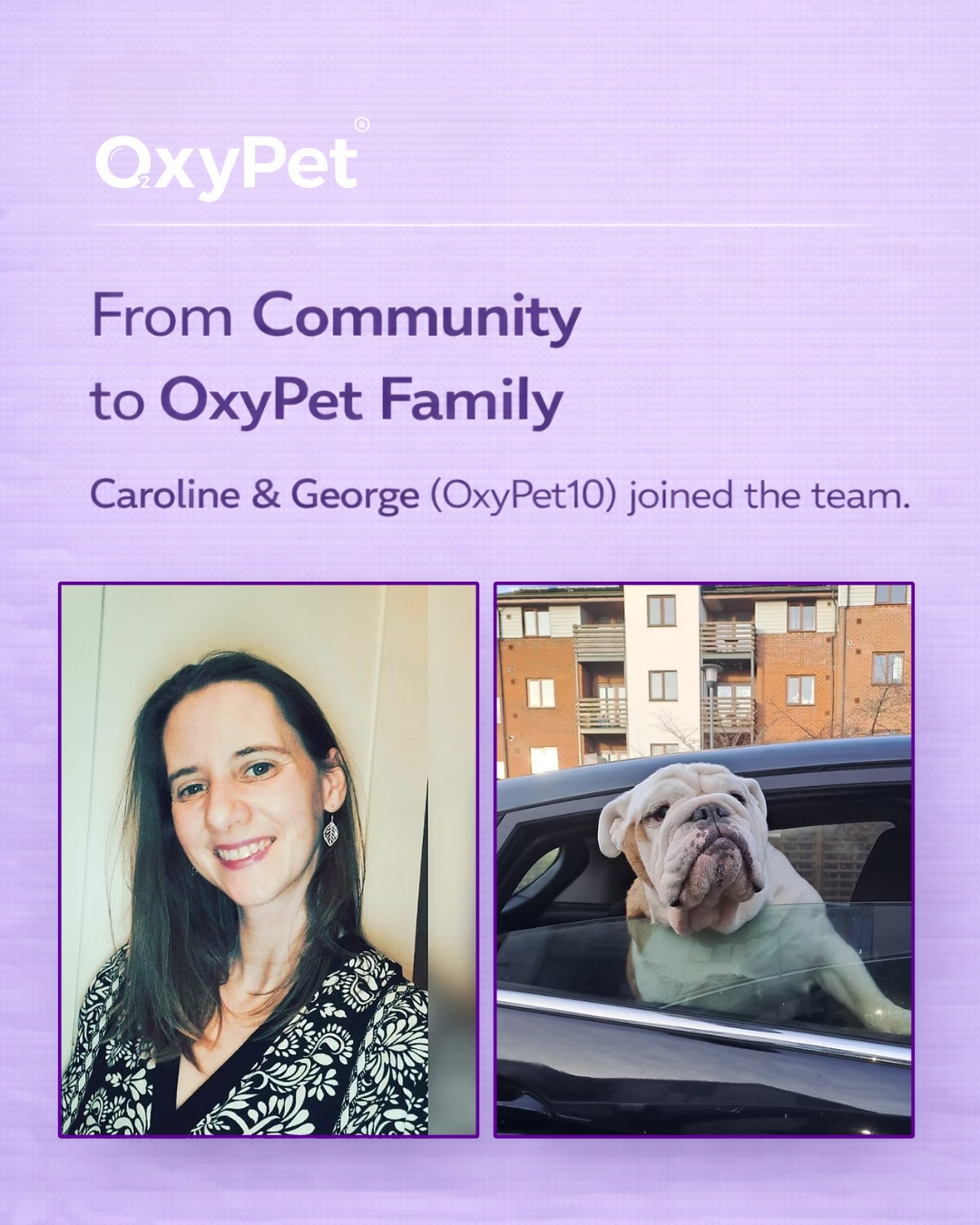 OxyPet Wrapped 2025 💜 From Community to OxyPet Family
In 2025, Caroline Boyland and her English Bulldog George joined the OxyPet team, turning a real-life experience into a mission to help other pets thrive.
Caroline first discovered OxyPet when George was struggling with laboured breathing, a common challenge for brachycephalic breeds. Like so many pet parents, she was searching for a natural, non-medical way to support his daily wellness.
What she found wasn’t a supplement or a drug.
It was functional hydration support.
OxyPet is pure Cornish spring water infused with stable nano-bubble oxygen, delivering:
• Superior hydration
• More available oxygen
• Daily oxygen support
• Enhanced vitality
With over 10× more dissolved oxygen than regular water, OxyPet supports a more oxygen-rich internal environment helping pets stay better hydrated, better oxygenated and more comfortable in everyday life.
And because those nano-bubbles stay suspended in the water, the oxygen doesn’t escape when it’s poured into the bowl.
It’s released only when your pet drinks.
No fizz.
No flavours.
No chemicals.
Just water + oxygen, working together.
After seeing how George responded to this simple hydration upgrade, Caroline chose to help other pet parents discover what oxygen-rich spring water can do for everyday wellness.
Because the future of pet health starts with:
💧 Hydration
🫧 Oxygen
🐾 Daily support
👉 Try it for 90 days and see the difference:
https://www.oxypet.co.uk/product-page/oxypet-oxygen-water-subscription