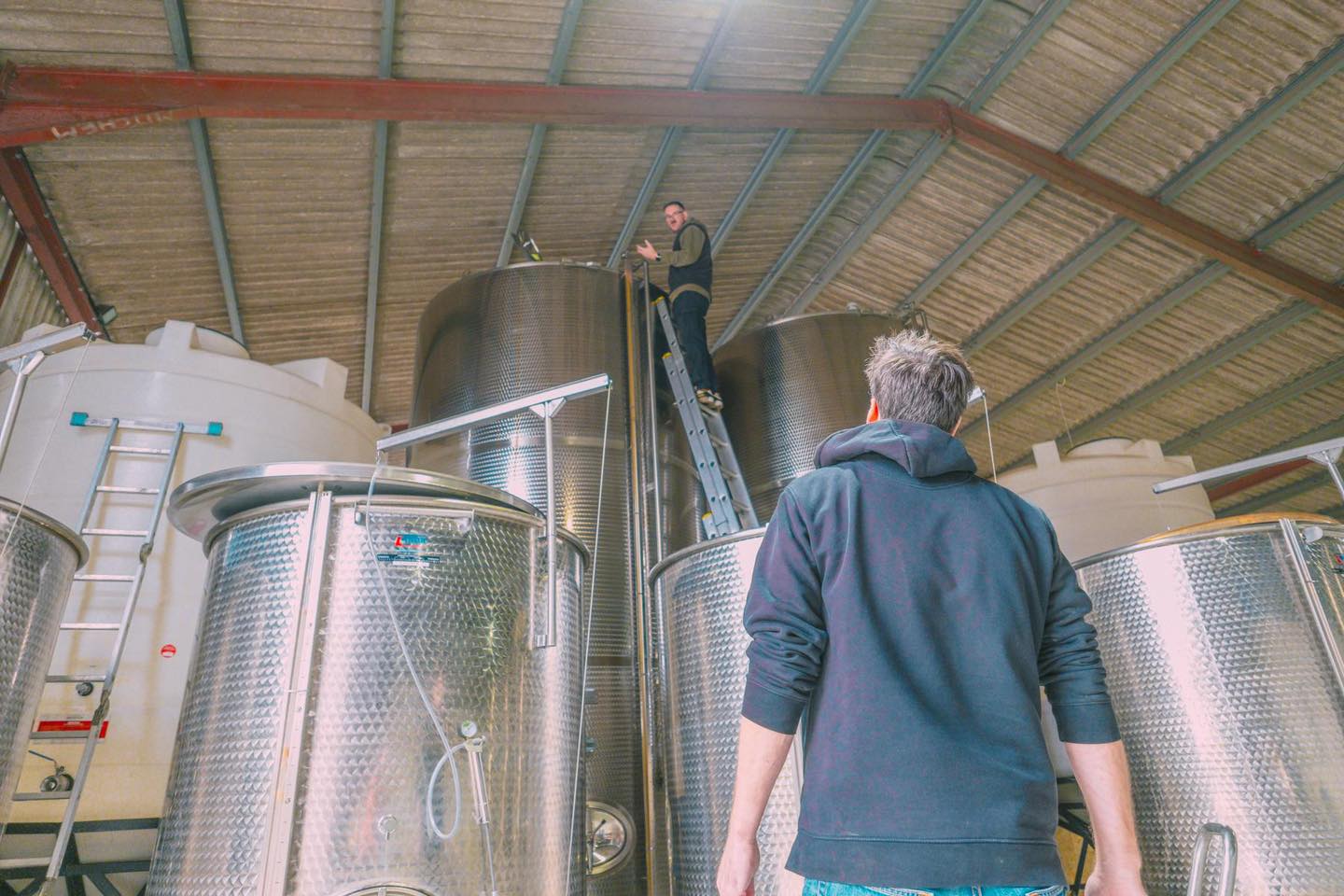 This cider is personal. Every can and bottle reflects the care, time, and attention that Jim and Al put into crafting the greatest cider.
Find us in Tesco or shop direct via the links in our bio!
#PulptCider #CraftCider #IndependentCider #CiderLab #MadeInSomerset