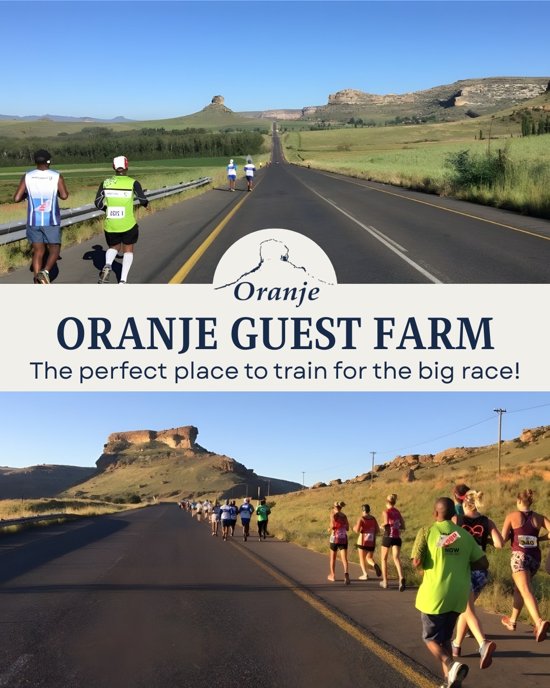 Training for the Surrender Hill Marathon? 🏃♂️
Oranje Guest Farm offers quiet gravel roads, open farm routes, and mountain surroundings that make it ideal for long runs and focused training.
Stay over, train properly, and recover in comfort before heading back home.
📞 084 712 0427 ✉️ info@oranjegasteplaas.co.za
#OranjeGuestFarm #FreeStateActivities #TrailRunningSA