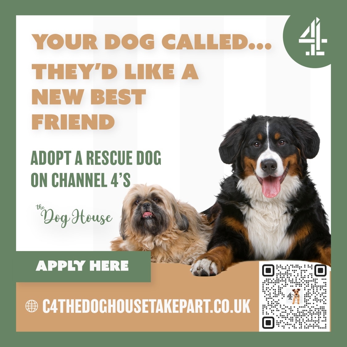 We've been contacted by someone from the team behind the BAFTA-nominated @channel4 series @thedoghouse_c4, as they're looking for people who are thinking about welcoming a rescue dog into their lives.
Every year they meet individuals, couples and families whose lives are transformed by the companionship of a dog.
They work closely with Woodgreen Pets Charity, who carefully match dogs with people whose lifestyles, personalities and needs truly fit.
You can watch clips from their series on their YouTube channel: @thedoghousetvofficial
