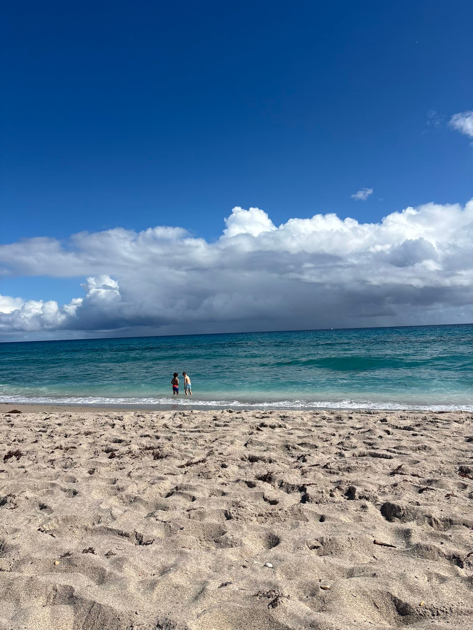 Cousins reunion and it's a beautiful night on the boat with Cindy Scully YannetteAngela StegerPhil Ann ScullySusan Quirch. Good times fully loaded ๐โ๏ธ๐