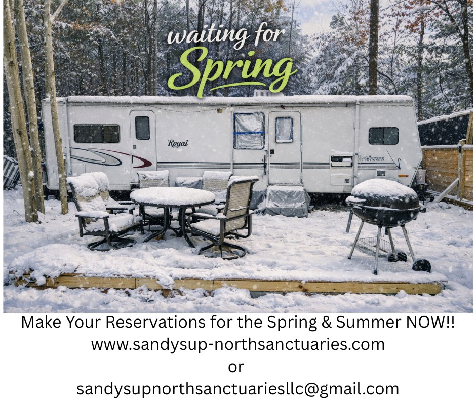 It's FREEZING Out!!
THINK SPRING!!