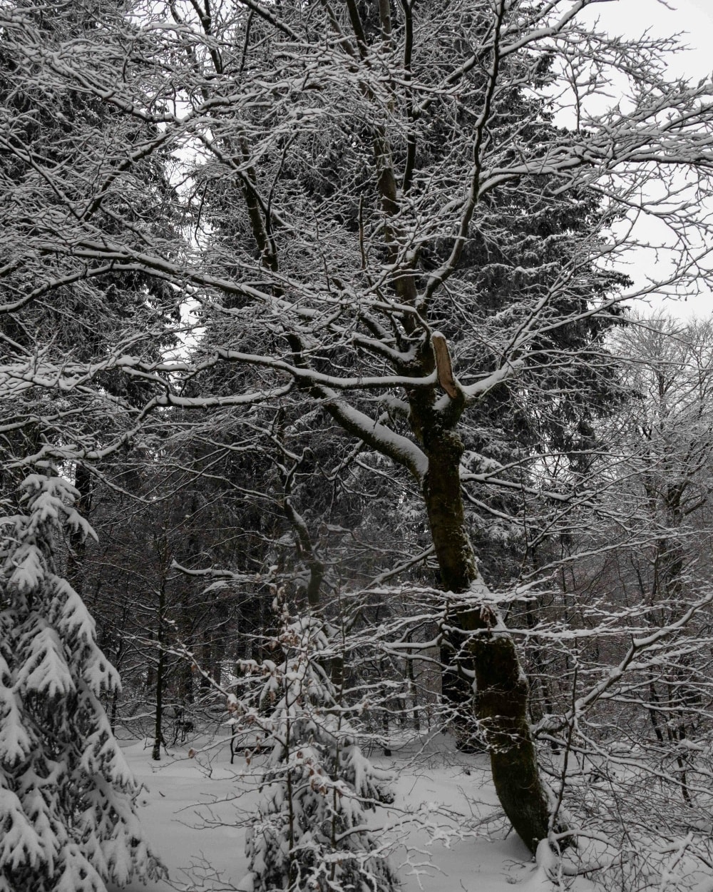 Praying for you today. Stay warm and safe.
