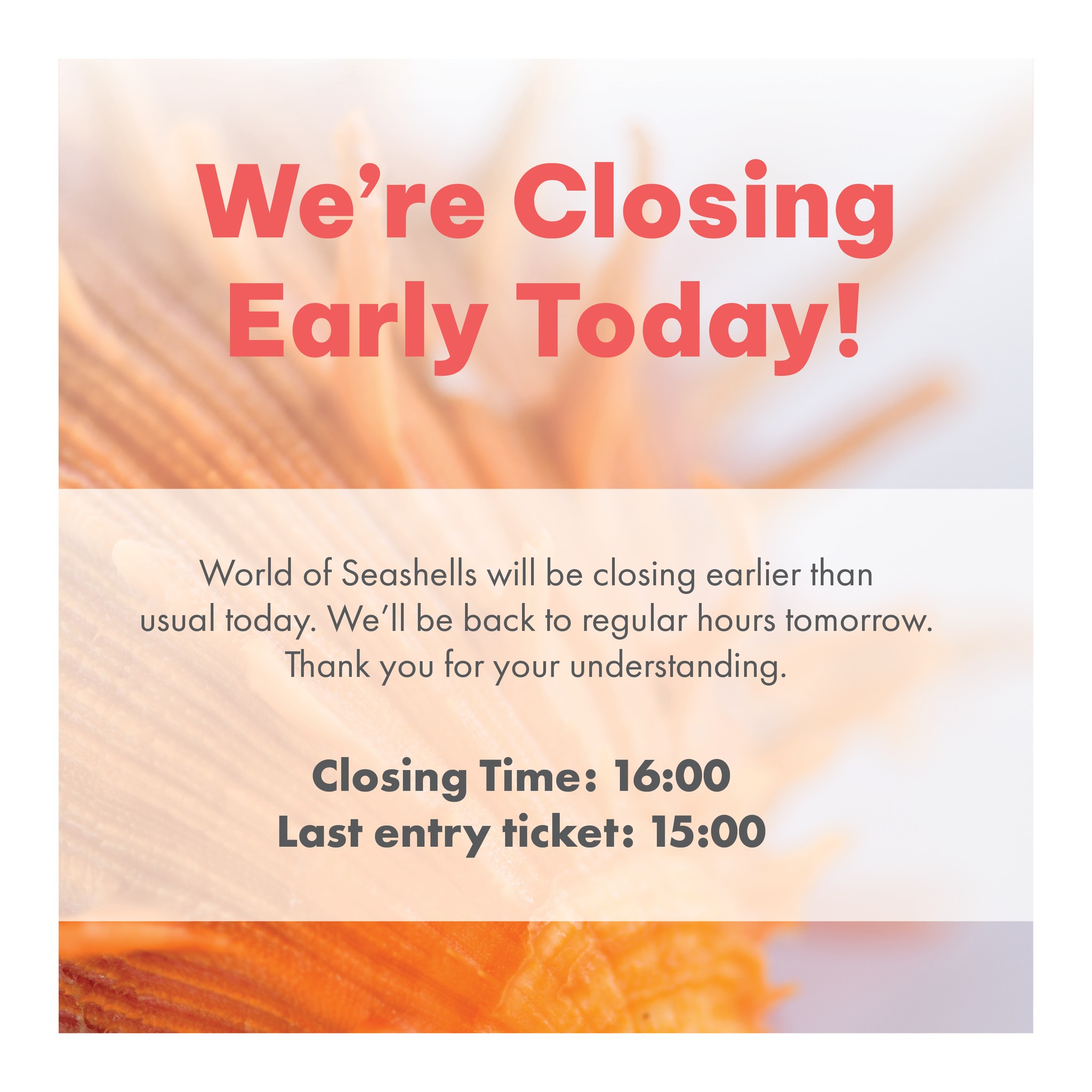 ๐๐๐ซ๐ฅ๐ฒ ๐๐ฅ๐จ๐ฌ๐ข๐ง๐ ๐๐ฅ๐๐ซ๐ญ!
Today, Thursday 22.01.2026, our team will be celebrating together, so weโll be wrapping up a little earlier than usual ๐
* Closing at 16:00
* Last entry ticket at 15:00
We will resume to normal operations on Friday 23.01.2026.
Revitalised, energised, and thrilled to welcome you soon! ๐
#worldofseashells #africalargestseashshellcollection #musueum #earlyclosure