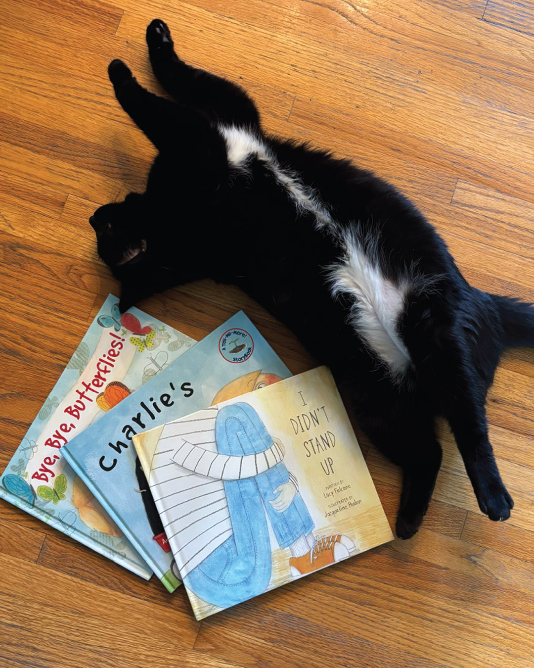 Freddy decided to insert himself into the photo i took of the three trade picture books I illustrated:
• I Didn’t Stand Up by Lucy Falcone
• Charlie’s Dirt Day by Andrew Larsen @_andrewlarsen
• Bye, Bye, Butterflies! by Andrew Larsen @_andrewlarsen