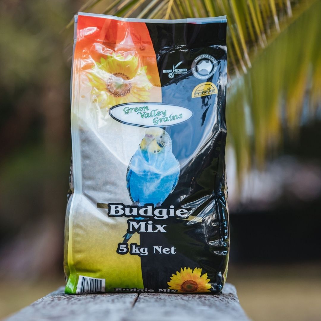 Budgies thrive on fresh seeds & grains and for optimal health & wellbeing we also add ProN8ure that supports their microbiome.
Our no#1 priority is to bring the best of nature to you and your beloved birds which is why we have included the proven natural multi strain probiotic ProN8ure® (formerly known as Protexin)
Eager to know more? Click on the link link in our BIO ⬆
#greenvalleygrains🌾 #proudlyaustralianmadeandowned🇦🇺 #gvgbudgiemix