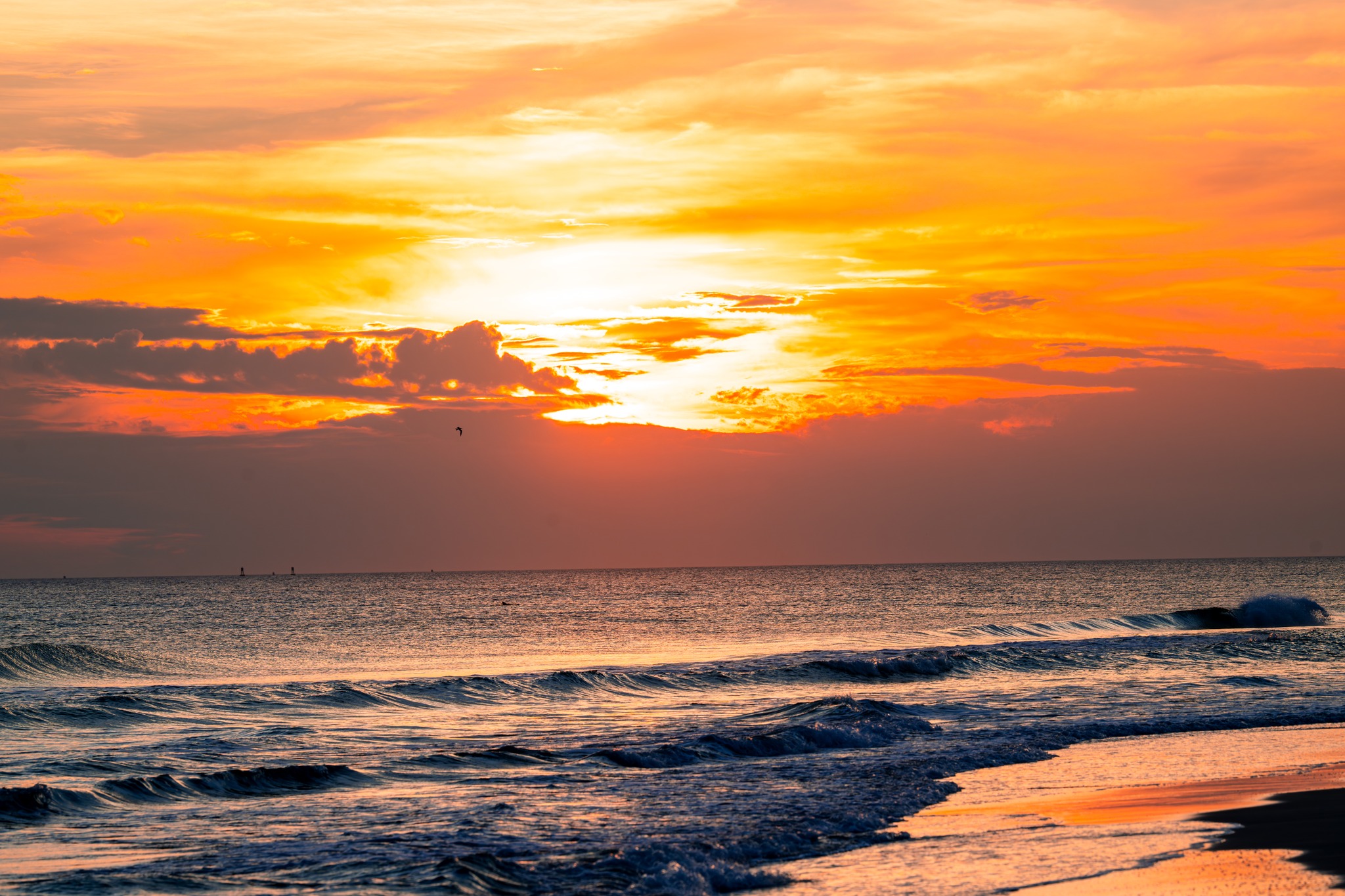 After a week packed with real estate videos, photo sessions, editing late nights, and family obligations; this sunset at Fort Pickens was exactly what I needed.
There’s something about watching the sun drop over the Gulf that resets everything;a reminder of why I love what I do and where I get to do it. 🌊
Grateful for the hustle, the clients, and moments like this to pause, breathe, and recharge.
Now… bring on the weekend. 🙌
📍 Fort Pickens • Pensacola Beach
📸 Sunset Photography LLC
#FortPickens #EmeraldCoastPhotography #SunsetChaser #PensacolaPhotographer #CreativeLife #SunsetPhotography