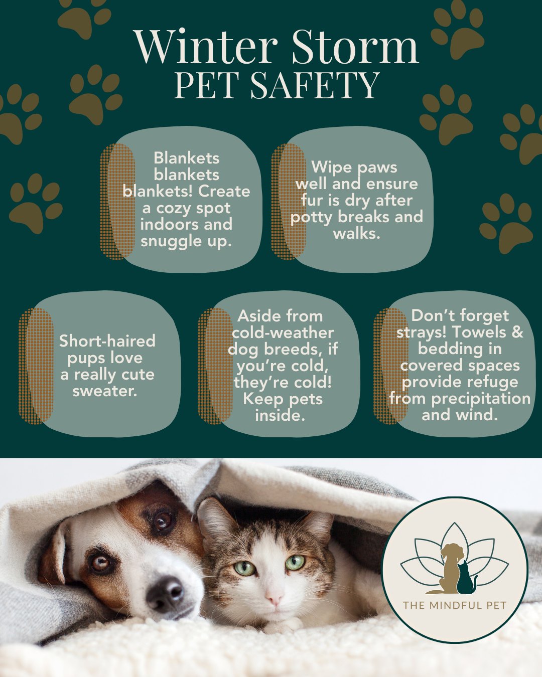 With freezing temps just around the corner, here are tips for keeping pets indoors, dry, and warm.
#atx #cedarpark #leander #dogsofinstagram #catsofinstagram