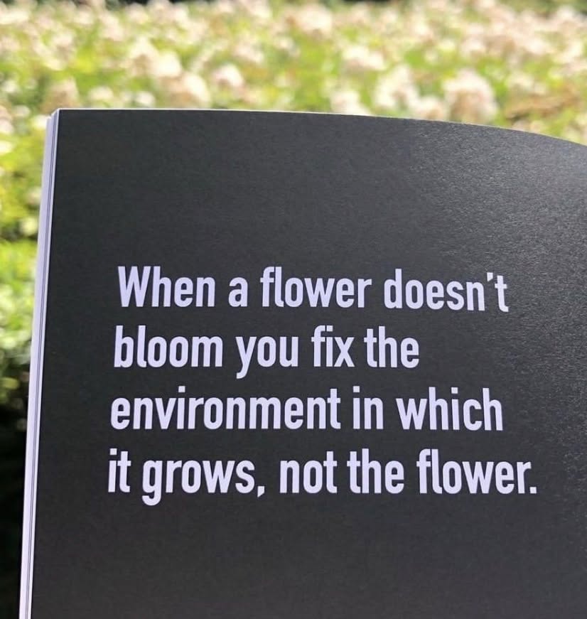 “When you plant lettuce, if it does not grow well, you don't blame the lettuce. You look for reasons it is not doing well. It may need fertilizer, or more water, or less sun. You never blame the lettuce. Yet if we have problems with our friends or family, we blame the other person. But if we know how to take care of them, they will grow well, like the lettuce. Blaming has no positive effect at all, nor does trying to persuade using reason and argument. That is my experience. No blame, no reasoning, no argument, just understanding. If you understand, and you show that you understand, you can love, and the situation will change.” —Thich Nhat Hanh
Photo from @omar.hussainn #thichnhathanhquotes #nonjudgment #spirituality