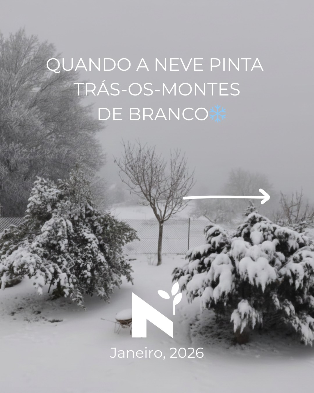 ❄️ Quando a neve pinta Trás-os-Montes e Alto Douro de branco, a magia acontece.
Janeiro de 2026 trouxe-nos um presente: neve a sério. Duas vezes. Primeiro com a depressão Ingrid (23-24 jan), depois com a Kristian (27 jan).
Trás-os-Montes e Alto Douro têm:
❄️ Olivais centenários transformados em esculturas de neve
🏘️ Aldeias de xisto que parecem cartões-postais
🔥 Lareiras acesas e gastronomia que aquece a alma
🫒 Azeite DOP que torna cada refeição especial
🎭 Tradições ancestrais (sim, os Caretos também brincam na neve!)
Swipe para descobrir a magia do inverno transmontano. →
A neve derreteu, mas as memórias (e as fotografias) ficam para sempre. E a próxima vez que vier... estaremos à espera. ⛄
🔗 Link na bio para o artigo completo no blog
#trásosmontes #altodouro #neveemportugal #nevão #invernoportuguês #azeiteanorte #turismorural #portugalautêntico #olivaiscentenários #aldeiasdeportugal #invernotransmontano #patrimónionatural #visitportugal #turismodeinverno #nevãotransmontano #montesinho #bragança #gastronomiaportuguesa #olivoturismo #slowtourism #portugalescondido #bornes #valpaços