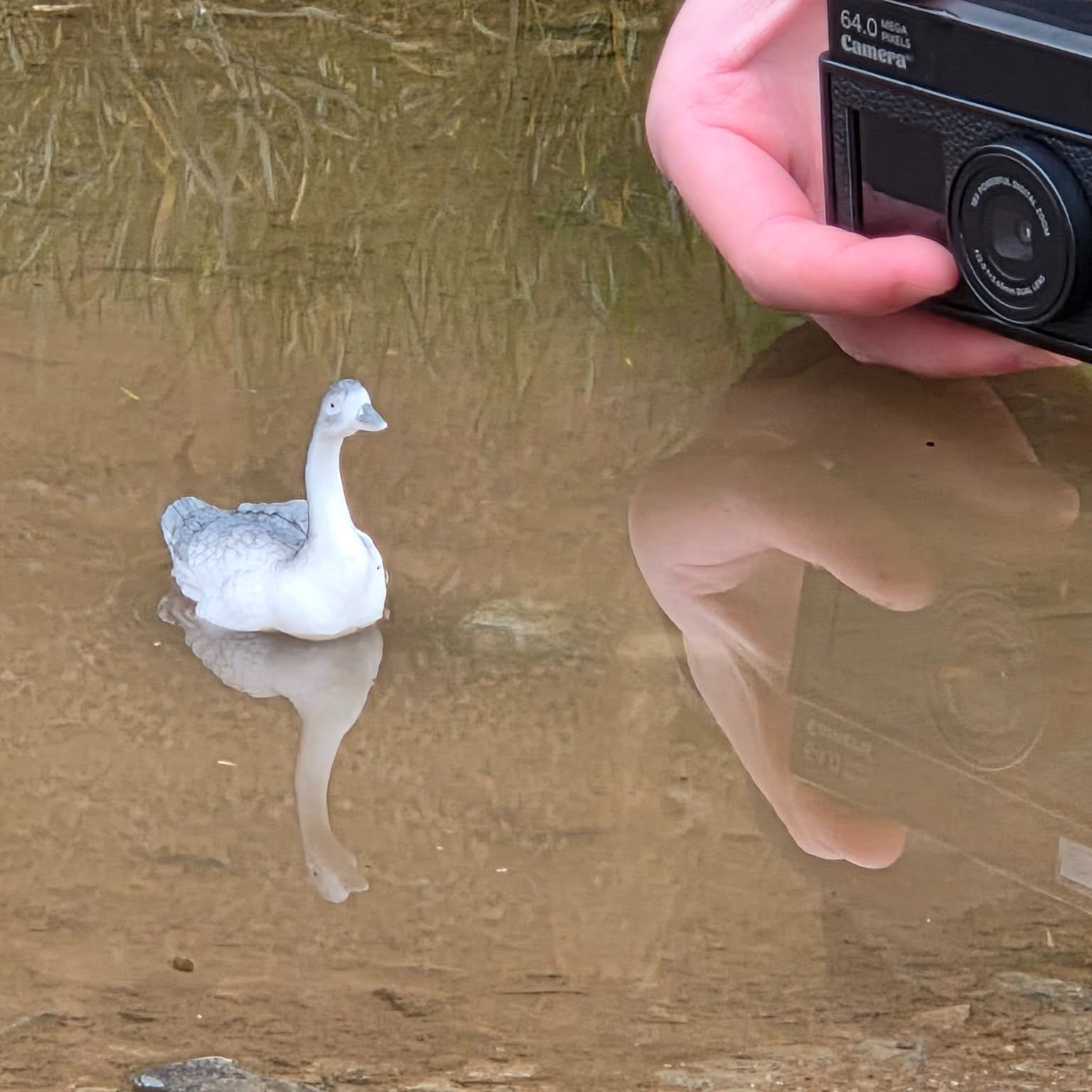 This week in our Alternative Provision sessions, we’ve been experimenting with camera angles to make our model animals look bigger and more realistic. #AlternativeProvision #outdooreducation #farmschool