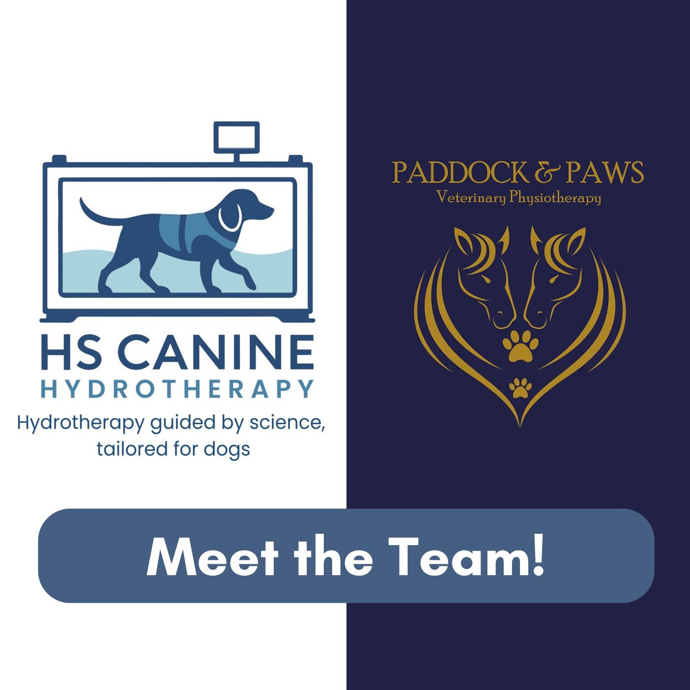 Meet the Team – HS Canine Hydrotherapy & Paddock and Paws Veterinary Physiotherapy
At HS Canine Hydrotherapy and Paddock and Paws Veterinary Physiotherapy, we work closely together to provide a fully supportive, tailored approach to the rehabilitation, fitness, and long-term wellbeing of dogs and cats.
Through Paddock and Paws, we offer veterinary physiotherapy with detailed assessments and individual treatment plans for dogs and cats. Physiotherapy is provided in the form of laser treatment, manual therapy, massage, stance analyser assessments, dynamic gait movement analysis, canine conditioning programmes and tailored remedial exercise plans.
Our aim is to support recovery in post operative rehabilitation, aiding patients with arthritis and neurological conditions whilst others benefit from maintenance and conditioning programs.
At HS Canine Hydrotherapy, we provide hydrotherapy for dogs and the occasional cat using an underwater treadmill, alongside aquatic massage. Hydrotherapy allows a controlled, low-impact exercise to improve range of motion, build strength, correct gait patterns,support recovery following injury or surgery, as well as ongoing management of orthopaedic / neurological conditions.
By combining physiotherapy and hydrotherapy we offer a complementary joined up approach to treatment, helping pets move better, feel stronger, live more comfortable and active lives.