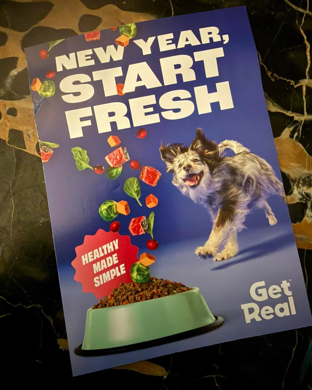 When you open up your Chewy auto-shipment and the flyer inside is of your client, Annie!
#RotNDog #RotNDogTraining #dogtrainer #dogtraining #dogbehavior #soflo #palmbeach #broward #puppies #puppytraining #gooddog #goodpuppy #obedience #aggression #fear #anxiety #behavior #training