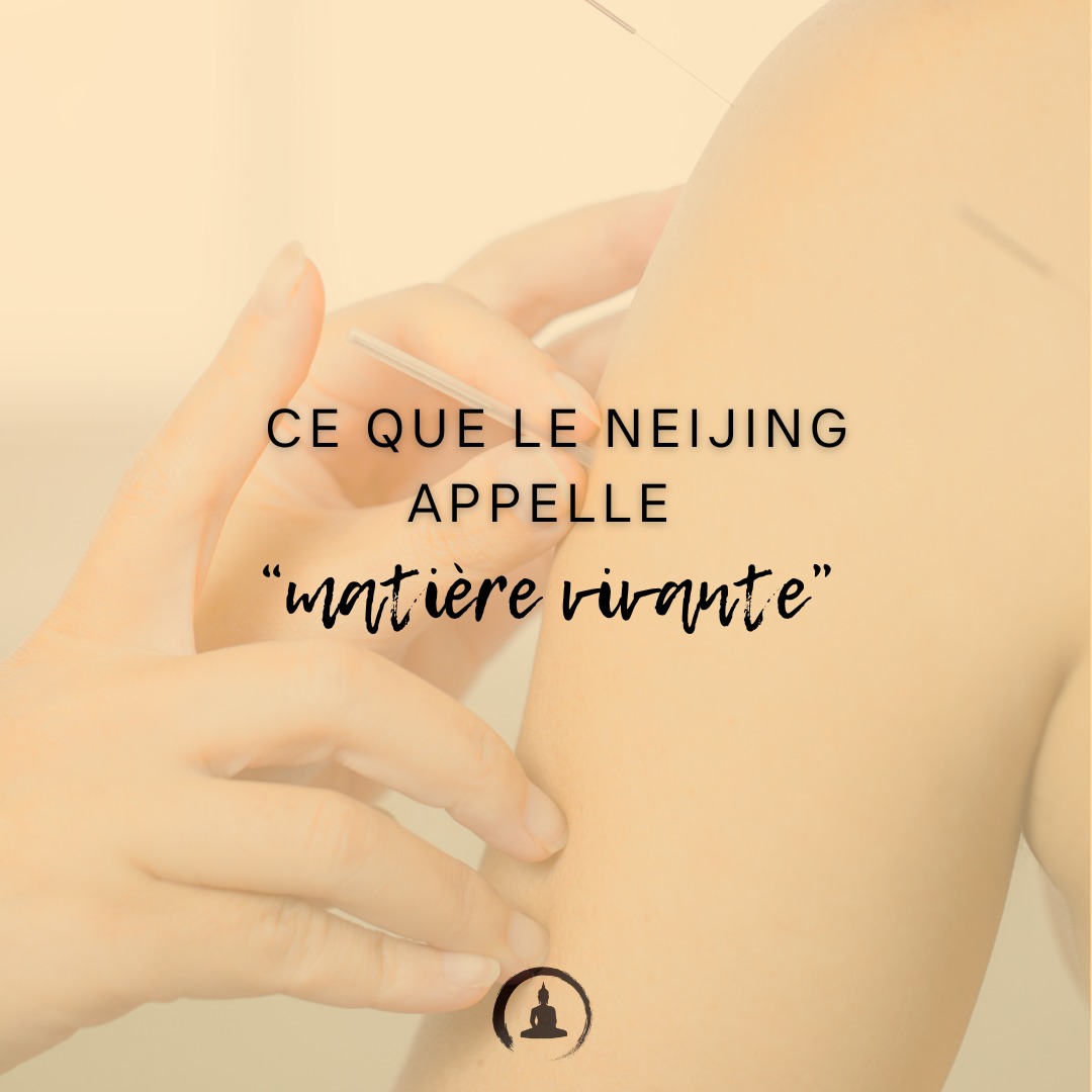 📍 Cabinet Zen Garden - Carouge
🔹 Acupuncture | Fasciathérapie | Thérapies énergétiques
🔹 Approche holistique pour harmoniser corps & esprit
🔹 Prenez soin de votre santé naturellement
📲 RDV & infos sur 👉 www.cabinet-zengarden.org
💬 Vous avez déjà essayé la Médecine Chinoise ?
Dites-moi en commentaire ! ⬇️
#MédecineChinoise #Acupuncture #Fasciathérapie #BienÊtreNaturel #ZenGarden #Carouge #SantéHolistique #ÉnergieVitale