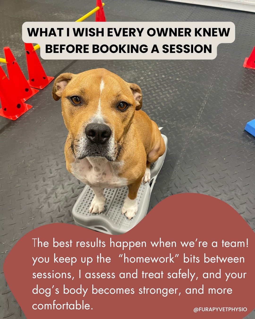 Ever wondered why some dogs make incredible progress in physio while others stall?
It’s not usually about the dog, it’s about the partnership!
When we work as a team, your dog gets the safest treatment in sessions and the consistent support they need at home. That’s when strength builds, comfort returns, and real change happens. 🐾
If you want your dog to move more freely and feel genuinely better, you can book an assessment or request a quick chat to see what’s right for them.
Book Now! ➡ www.furapy.uk