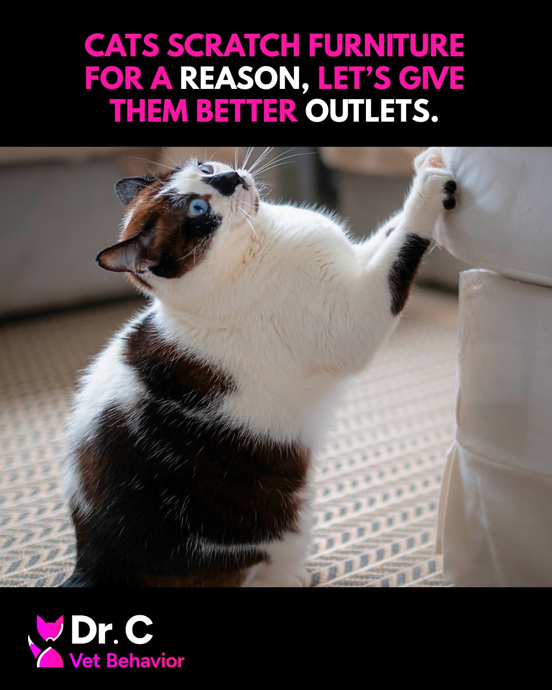 Cats scratch furniture for a reason. It helps them stretch, mark territory, and release stress.
#CatBehavior #ScratchingSolutions #UnderstandingCats #PetBehaviorScience #VetBehavior #RelationshipFirstCare #EmpathyForPets #BehaviorReimagined #CompassionateBehavior #DrCVetBehavior