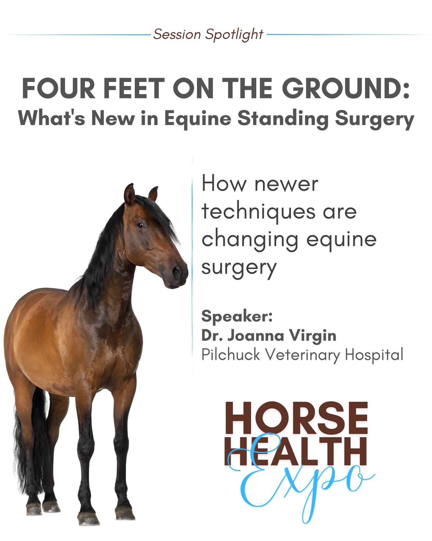 🎓 Four Feet on the Ground: What’s New in Equine Standing Surgery
👩⚕️ Dr. Joanna Virgin
🏥 @pilchuckequine
Discover how advances in standing surgery are changing equine care, when these procedures may be an option, and what horse owners should know.
📅 Saturday, Feb 7
📍 McGavick Conference Center | Lakewood, WA
🎟️ 𝐅𝐑𝐄𝐄 event – registration required
🔗 Register at link in bio