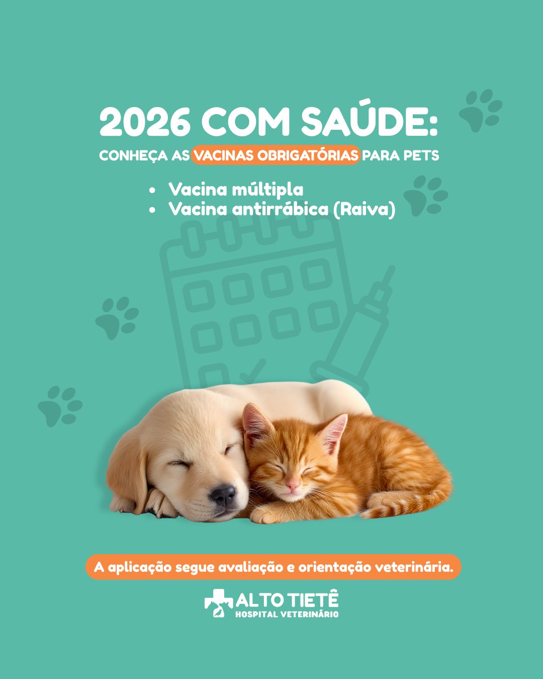 Vacinação em dia é cuidado e prevenção!
No Hospital Veterinário Alto Tietê, realizamos a aplicação exclusiva das vacinas obrigatórias, sempre com avaliação veterinária individualizada.
Vacinas obrigatórias para cães e gatos:
Vacina múltipla
Vacina antirrábica (Raiva)
Em 🐱 recomendamos a múltipla quíntupla que protege contra Felv.
Em 🐶 recomendamos a múltipla de 7 sorovares obrigatórios como a DHPP da MSD.
Cada pet tem necessidades específicas, por isso o acompanhamento profissional é essencial para garantir segurança e proteção adequadas.
Agende a vacinação do seu pet com nossa equipe.
Hospital Veterinário Alto Tietê – Arujá/SP