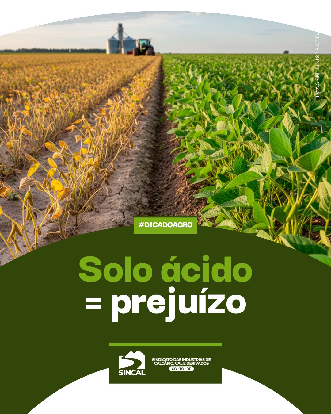 Um solo não corrigido pode reduzir até 50% da produtividade de uma lavoura. Cuidar hoje evita perdas amanhã. #DicaDoAgro