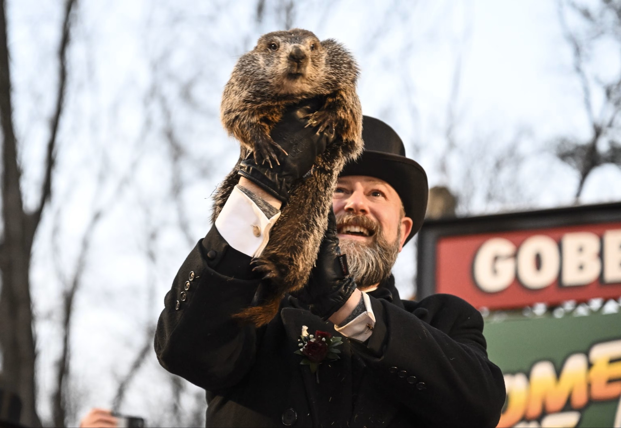 Our new project manager today 🐿️
Responsibilities include:
• Predicting weather
• Delaying schedules
• Blaming Mother Nature
Somehow still not the worst PM we’ve had 😉