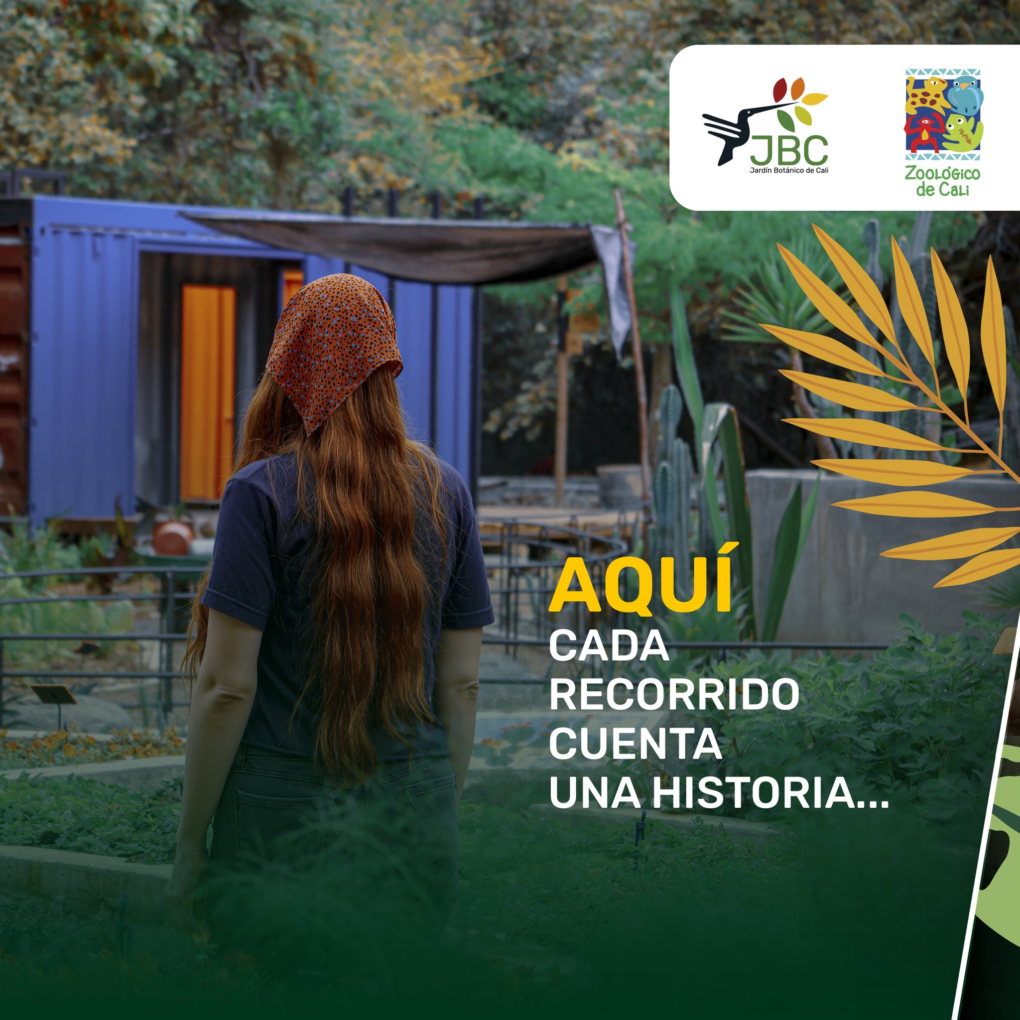 🌿Cada paso por el Zoo y por el Jardín Botánico, es una oportunidad para descubrir, sentir y aprender.
Entre historias, recorridos compartidos y voces que nos invitan a escuchar con atención, la experiencia se transforma en un viaje que conecta a personas, especies y territorios.
Porque cuando el aprendizaje nace del asombro, la conservación se vuelve parte de nuestra propia historia. 🌿
Hoy celebramos la educación ambiental como el primer paso para cuidar lo que amamos. 💚🐾
Cada visita es una oportunidad para aprender y contagiar a otros. ¡Visítanos!