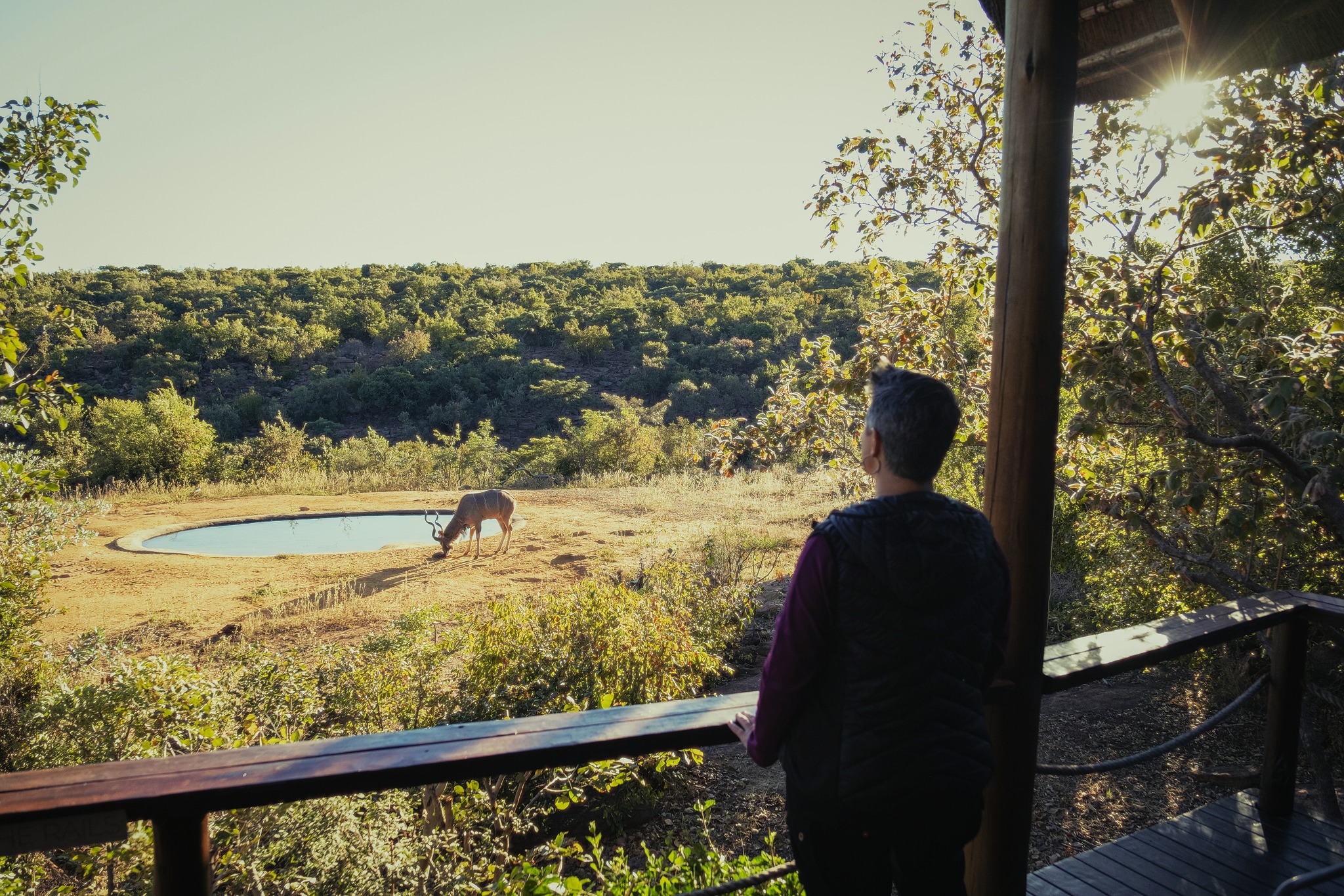 Front-row seats to life, unfolding at bush pace.
#57Waterberg #Kudu #WildlifeAtYourDoor #SlowSafari #AfricanBush