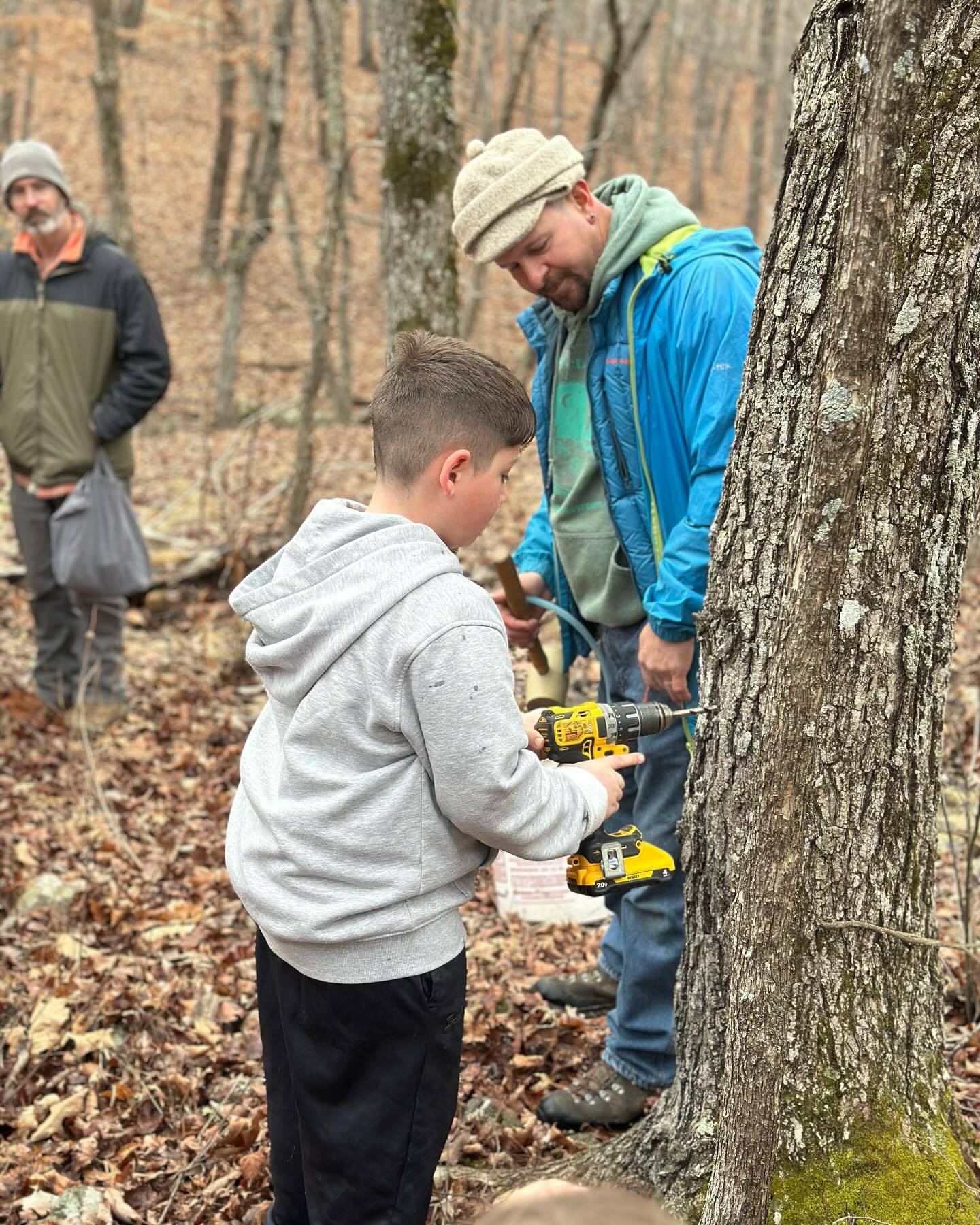 Next Family/Public Program at Earth's Classroom!
OH, YES, MO MAPLE SYRUP MAKING!
Saturday, February 7th, 2025 12:45pm—3pm
Ages: 8 and up Members: $6
Location: Earth’s Classroom Non-members: $8
FREE SLOTS FOR Gasconade County R-2 OES, GES, and OMS!!!! (student must participate with an adult)
Follow in our footsteps through the forest as we explore the science behind safely tapping Sugar Maples (Acer saccharum), the Indigenous history and traditions of maple syrup making in Missouri, and the often-surprising story of how this practice took root in the state (yes, not just the northern states!). You’ll also learn about the many benefits of maple syrup and get hands-on experience so you can really get a feel for the process yourself. Please bring your own mug. We’ll provide hot drinks and tasty treats to enjoy along the way.
Ready to learn all the sweet, delicious details of Missouri maple syrup making? Sign up now at: https://www.earthsclassroom.org/event-details/mo-maple-syrup-making-3 (LINK IN COMMENTS)