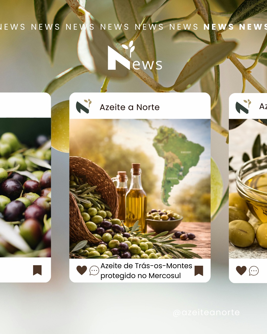 O Azeite de Trás-os-Montes acaba de ganhar proteção legal no Mercosul 🌍
O acordo UE–Mercosul reconhece oficialmente a DOP transmontana em mercados como Brasil, Argentina, Uruguai e Paraguai — travando imitações e valorizando a origem.
Mais do que um selo, é o reconhecimento de uma olivicultura milenar, de variedades autóctones e de um território que dá identidade ao azeite 🇵🇹🫒
Nem tudo são boas notícias: alguns produtos DOP do Norte ficaram de fora e levantam dúvidas importantes.
👉 Lê a notícia completa no nosso blog e percebe o que muda para Trás-os-Montes e para os produtores.
#azeitedetrasosmontes #azeite #dop #igp #azeiteportugues #trasosmontes #indicacoesgeograficas #mercosul #mercosur #uemercosul #produtosdop #origemprotegida #olivicultura #azeitepremium #agroalimentar #produtosportugueses #territorio #patrimonioalimentar #autenticidade #exportacao #agriculturaportuguesa #qualidadecertificada #azeiteanorte