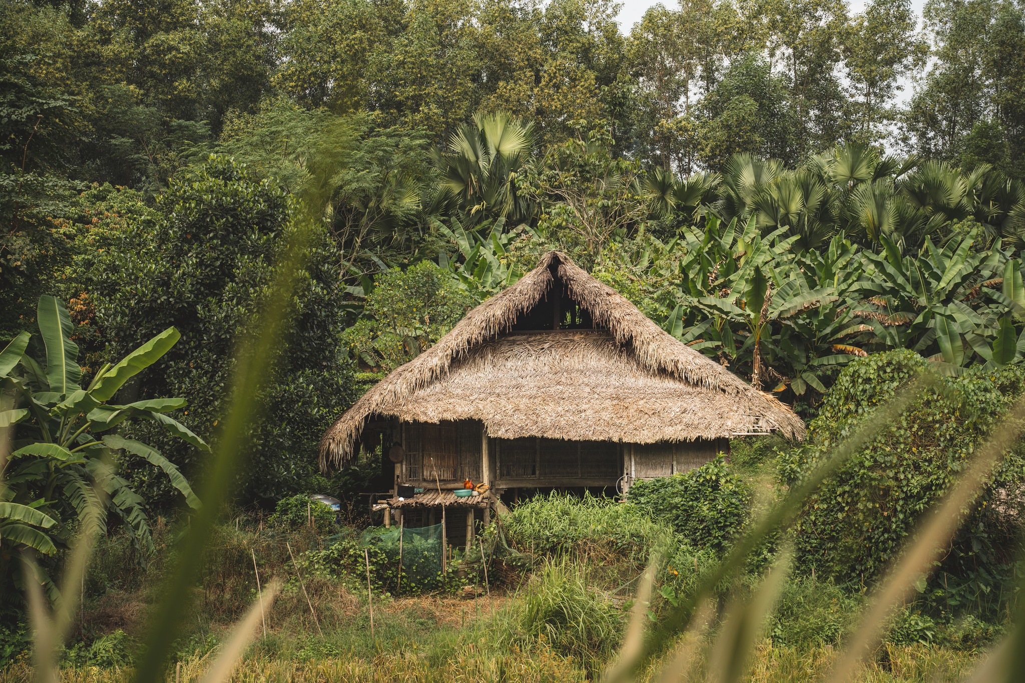 Nhà Tày, houses that breathe with their land
In the mountains of northern Vietnam, the Tày people live in architectures that are born from the landscape itself. Bamboo, wood, palm — materials gathered with care, close at hand, then assembled through gestures passed down over time.
Here, I may be the only architect. No experts, no designers in the academic sense. Only living know-how, building cultures rooted in material, in time, in use.
Houses imagined and shaped by those who live in them.
_______
Les nhà Tày, des maisons qui respirent avec leur territoire
Dans les montagnes du nord du Vietnam, le peuple Tày habite des architectures qui naissent. Bambou, bois, palme — des matières prélevées avec justesse, à portée de main, puis assemblées par des gestes transmis.
Ici, je suis peut-être la seule architecte. Point d'experts, ni concepteurs au sens académique. Seulement des savoir-faire vivants, des cultures constructives enracinées dans la matière, dans le temps, dans l’usage.
Des maisons pensées par ceux qui les habitent.