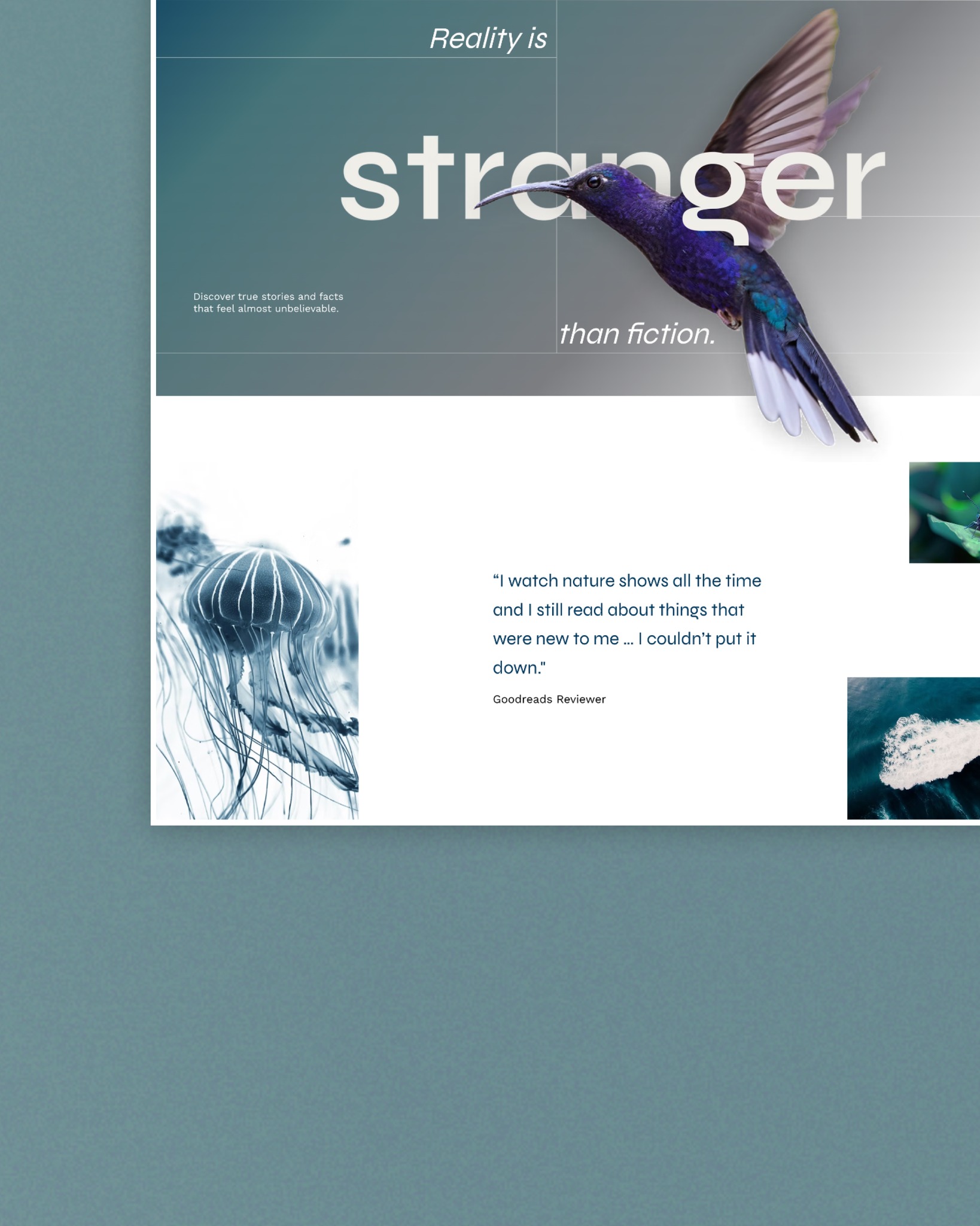 We loved designing this website for author Seraphina Lewis! 🖤
Using striking wildlife imagery to guide the page designs, our goal was to make you feel like your diving straight into her world of fascinating real-life mysteries and mind-bending facts about the natural world. If this speaks to you, be sure to grab one of her books!
#WebDesign #GraphicDesign #CreativeStudio #AuthorWebsite #WildlifeLovers #Bookstagram #DesignInspiration #SmallBusinessDesign #ScarboroughWA