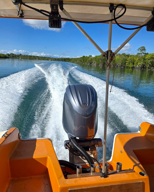 Repower! Old boat, new life.
Better performance and Yamaha reliability.
Learn more about Repower: https://tinyurl.com/twf6n2hd
Get Your Quote: 3186 5270
https://www.marinecareqld.com/contact-us
View Outboard Range: https://bit.ly/3wtrHEU
#ReliabilityStartsHere #YamahaAdvantage #Yamaha #YamahaFamily
#YamahaMotorFinance #YamahaMotorInsurance
#revsyourheart #marinecareqld #yamahaoutboardsaustralia