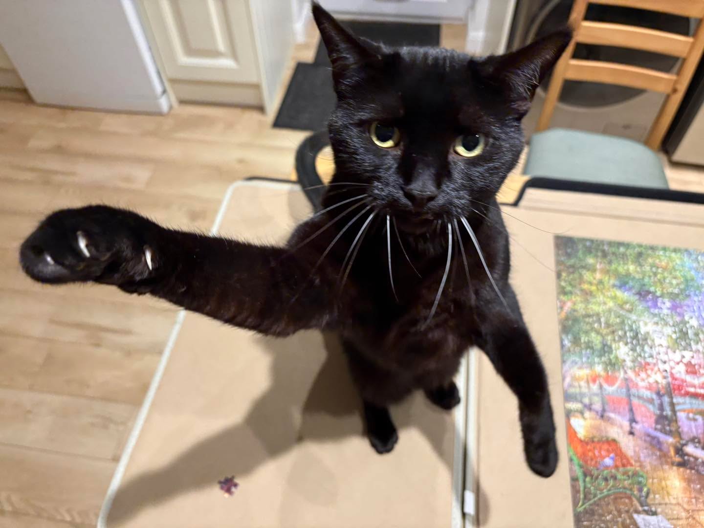 Come to choir. Or I’m gonna get ya.
(Massive thanks for the singing this week by the way. And for looking after each other in rehearsals. Top quality!)