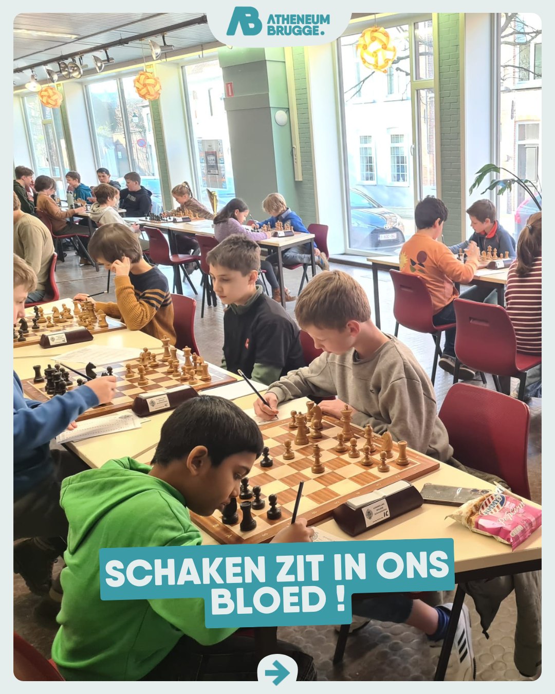 ♟♝♞♜ In Middenschool Brugge Centrum en Atheneum Brugge wordt naar hartelust geschaakt!
Tijdens de kersttvakantie was de jeugd massaal aanwezig op onze campus ter gelegenheid van het jaarlijkse kersttornooi schaken, georganiseerd door de Koninklijke Brugse Schaakkring . Alleen maar tevreden spelers en fiere ouders na afloop van deze geslaagde editie. De Brugse Schaakkring heeft ondertussen haar permanente intrek genomen in onze campus!
-
De leerlingen krijgen bij ons les van schaakmeester Dhr. Verduyn, die zelf ook deelneemt aan internationale tornooien. Samen met andere collega-schakers geeft hij zijn kennis graag door aan een groep gemotiveerde leerlingen!
-
#ikbeneenatheneeër #campusbruggecentrum #fieroponsGO #samenlerensamenleven #ABschaakt