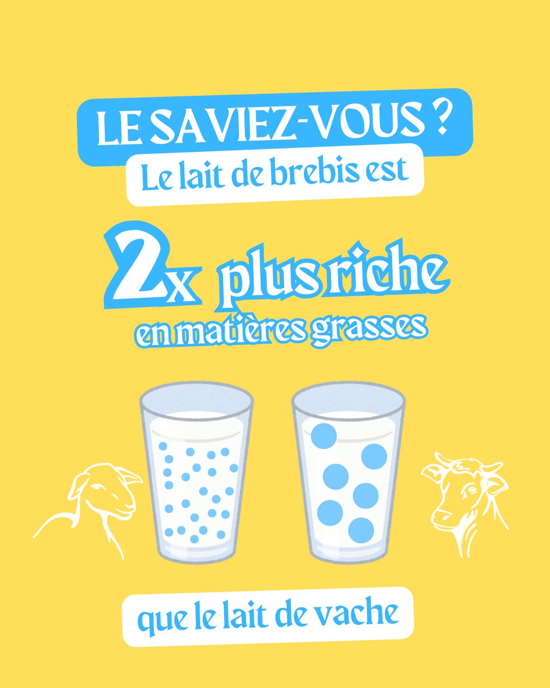 🐑 Le saviez-vous ?
👉 Le lait de brebis est 2 fois plus riche en matières grasses que le lait de vache, ce qui lui donne une texture naturellement plus onctueuse et gourmande.
Chez Biochamps, ça donne des yaourts :
🥛 au lait entier
⚖️ demi-écrémés
💧 0% totalement écrémés
👉 pour répondre à toutes les envies, sans compromis sur le goût.
💡 Mais ce n’est pas tout…
Le lait de brebis est aussi plus digeste que le lait de vache 👇
✔️ Des globules de gras plus petits, donc mieux assimilés par l’organisme
✔️ Moins de protéines allergisantes, notamment certaines reconnues comme plus difficiles à digérer
Et vous, plutôt team lait de brebis ou de vache ?
#biochampslaiterie #laiterieartisanale #lait #biodepuis1982 #ariegepyrenees #yaourtbio