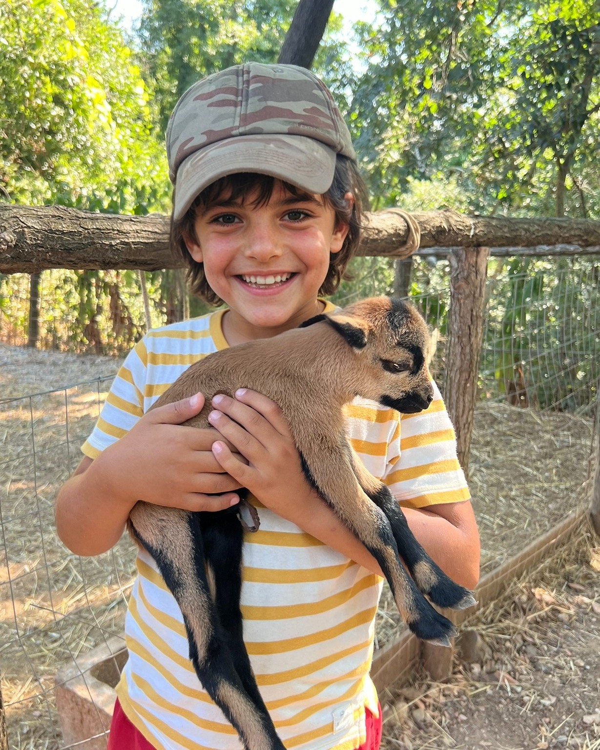 🌿✨ Iscrizioni aperte! ✨🌿
I Wildlife Summer Camps stanno tornando… e la natura ti aspetta! 🌞🐾
Regala al tuo bambino una o più settimane di avventure all’aria aperta, giochi, creatività e nuove amicizie.
Un’estate da ricordare… in mezzo al verde! 🌳💚
👉 Info & iscrizioni: ilbardotto.com/summer-camps
📄 Scarica il modulo e unisciti alla nostra community!
Hashtag:
#summercamp #wildlifesummercamp #campiestivi #camps2026 #natura #bambiniinnatura #avventuranatura #ilbardotto #educazioneallariaaperta #esperienzenatura #outdoorlearning #childhoodunplugged #estate2026 #lucca #toscanadaamare #vivereinatura #crescereinlibertà #attivitàallaperto #scopertenatura #communitykids #animali #fattoriaDidattica