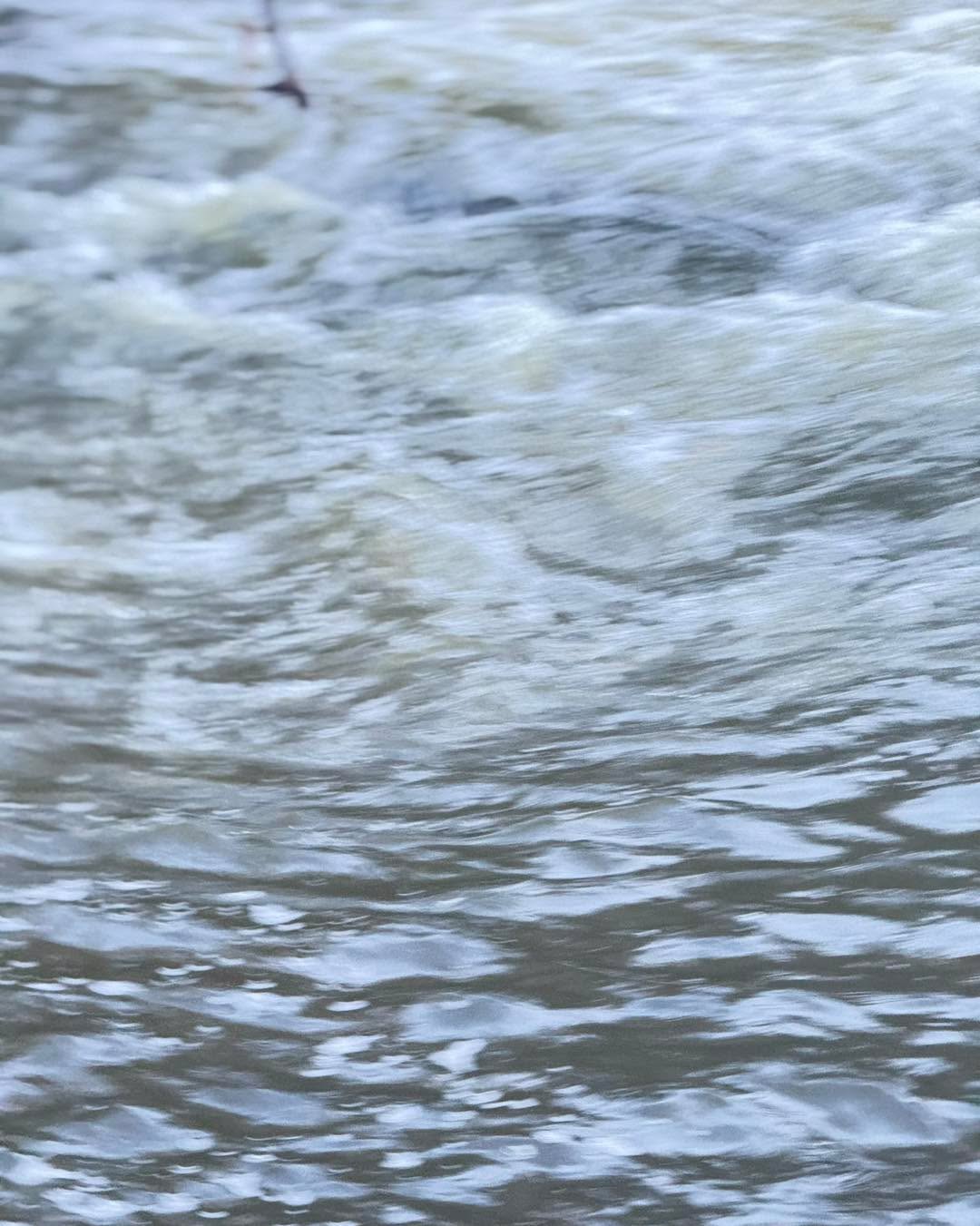 Heads up!
Due to flooding and traffic issues in the area, all Vic-Ryn classes are cancelled this evening
Sorry for the inconvenience, and thanks so much for your understanding.
Stay safe out there 💙