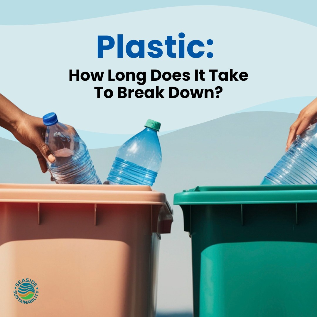 Did you know how long everyday plastic items last in the environment? 🤔
Swipe through to see the breakdown and consider what alternatives you might already be using (or could start using). ♻🌎
#seasidesustainability #plasticfree #recycling #nonprofit