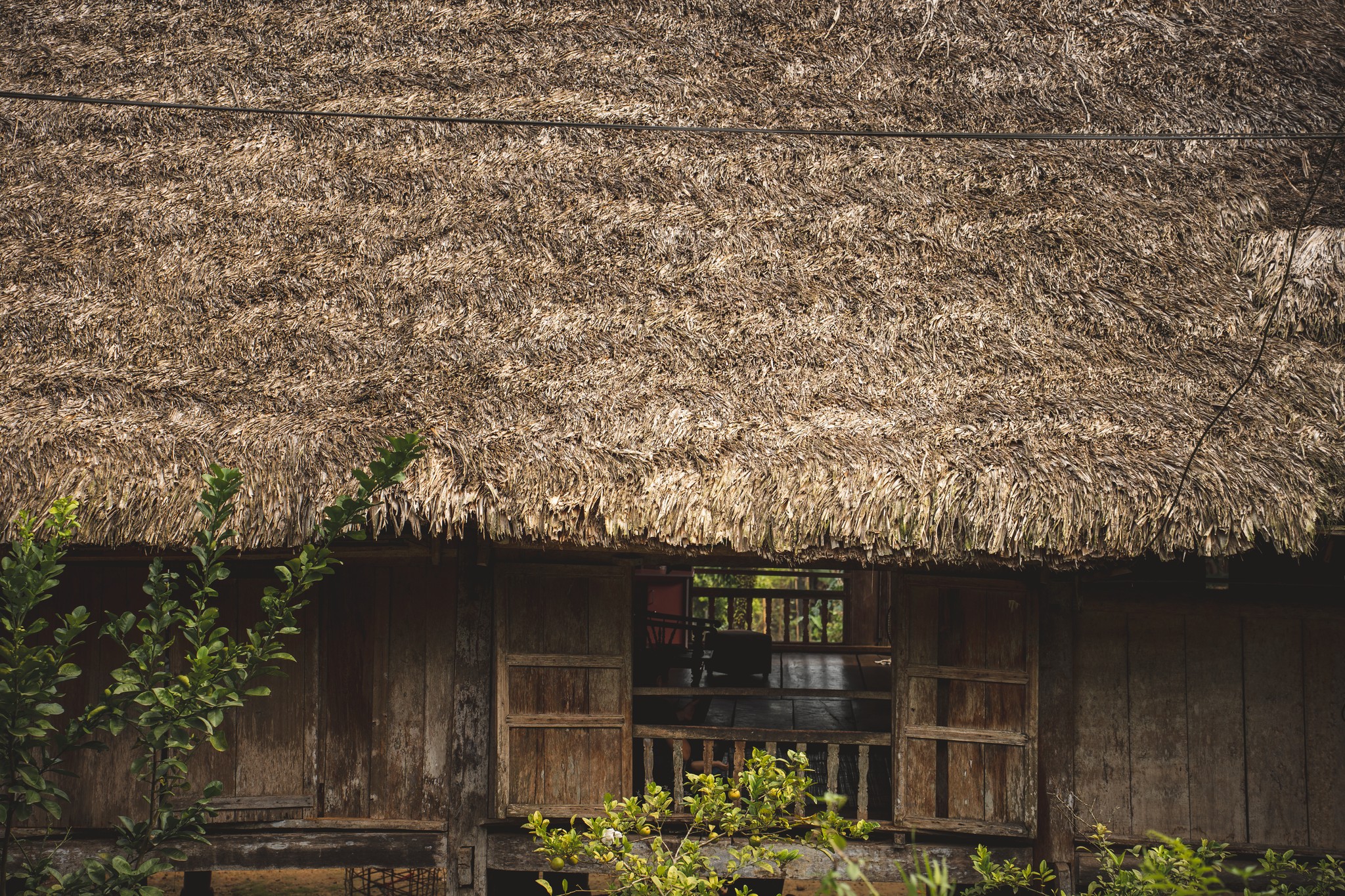 Inside Tày's home
It’s the story of an encounter. Architectural, of course. But above all, human.
In the Hoàng Liên Sơn mountains, along the Sino-Vietnamese border, the Tày live in vast stilt houses made of bamboo, wood, and palm. Houses that breathe with their territory.
That day, cycling, I barely move forward. Every ten meters, I stop to photograph.
Then a house. A voice calling from wide-open wooden windows. Hands waving me closer. A smile appearing in the frame of a door that is always open.
I climb the steps. And I truly enter.
I’m invited to lunch without hesitation. Beneath me, an immense split-bamboo floor—more than a hundred square meters. Vách runs beneath the stilts to catch a chicken for dinner. No question of leaving so soon.
The afternoon stretches on, and I live with them what I had come to observe: a house inhabited, shifting, attentive to use and tradition.
For the length of an evening, I live this architecture by cooking together, sharing, dwelling. The water for the shower, which we boil over a wood fire, gives my skin a smoky smell.
As night falls, the space transforms.
A mattress laid on the floor, a curtain drawn, a mosquito net hung. And the night is as gentle as the welcome.