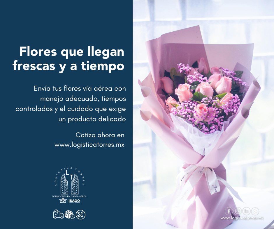 🌸✈️ Flores que llegan frescas y a tiempo
Cuando el detalle importa, la logística marca la diferencia.
Envía tus flores vía aérea con manejo adecuado, tiempos controlados y el cuidado que exige un producto delicado.
✈️ Transporte aéreo nacional
🌸 Manejo de carga perecedera
⏱️ Entregas rápidas y confiables
Porque una flor que llega tarde, pierde su valor.
Nosotros cuidamos cada envío desde el origen hasta el destino.
📲 Contáctanos y asegura tus envíos florales.
🌸 Frescura que sí llega.
.
.
.
.
#EnvíoDeFlores #CargaPerecedera #TransporteAéreo #LogísticaAérea #FloresFrescas #EntregasATiempo #LogísticaProfesional #TemporadaAlta #tucargasegura #tucargasegurayatiempo #logistica #volariscargo #logisticaytransporte #SomosLogisticaTorres #enviosnacionales