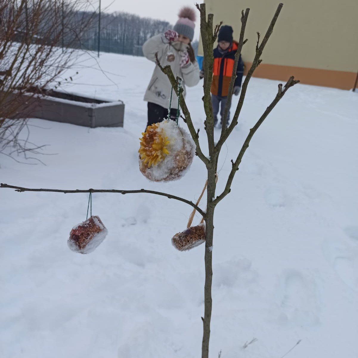 DÍLNIČKY: tvoření, objevování a radost z experimentů
Kroužek Dílničky není jen o práci se dřevem, ale také o objevování světa pomocí pokusů a experimentů. V lednu si děti vyzkoušely řadu zábavných aktivit – lávovou sopku, barevné proměny, pokusy s kapalinami i nafukování balónku pomocí octa a jedlé sody. Velký úspěch měly také bubliny a zjištění, jak malé změny ovlivňují výsledek.
Nezapomněli jsme ani na přírodu – v mrazivých dnech děti vyráběly ledové ozdoby pro ptáčky, a učily se ohleduplnosti k okolí. Kroužek tak propojuje tvořivost, poznávání, hravost i zodpovědnost. 😊
Ivana Alexandr - vedoucí kroužku