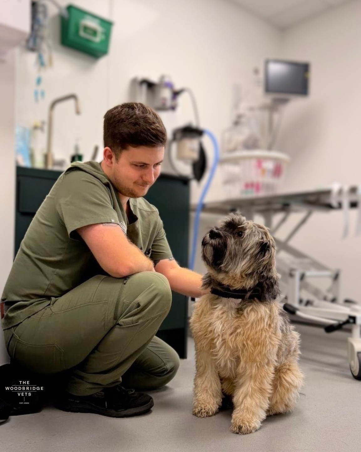 Meet Bertie. Bertie is a lovely Tibetan Terrier who came to see our vet Kyle after struggling with a persistent cough. A previous CT scan had shown an area of concern in Bertie’s right lung, so this follow-up visit was the perfect time to check on his progress and see how he was responding to treatment 🐾
To investigate further, Bertie had a CT scan and bronchoscopy. During his CT scan, our veterinary team used a breath-hold technique with the help of veterinary ventilator. This is a safe, carefully monitored machine that gently controls breathing while a dog is under general anesthesia. For just a few seconds, the ventilator holds the lungs still, allowing us to take a detailed image of the chest without any blur.
Think of it like taking a photo: if the pet moves, the picture comes out blurry. Bertie’s lungs are always moving as he breathes, so to get a clear, da good quality image, we pause his breathing safely for a moment. This ventilator-assisted breath-hold lets the team see tiny details in the lungs and airways - details we couldn’t see if he were breathing normally. It’s completely safe, carefully monitored, and gives us the best information to guide Bertie’s care.
📸 The results were really encouraging - the previously noted changes in Bertie’s right lung had significantly improved, and his airways looked much better than before. When we compare his latest scan to the previous one, we can see that the area in his right lung that was previously affected has completely cleared up. The arrows on the images show exactly where the change was - and now it looks completely normal.
💙 We’re so proud of how Bertie handled everything and so grateful to his family for trusting our veterinary team. Seeing him breathing more comfortably again is exactly why we do what we do 🤎
#thewoodbridgevets #independentpractice #veterinarypractice #veterinaryteam #veterinarycare #veterinarymedicine #ctscan #radiography #bronchoscopy #dogs #canine #suffolkveterinarypractice #suffolk