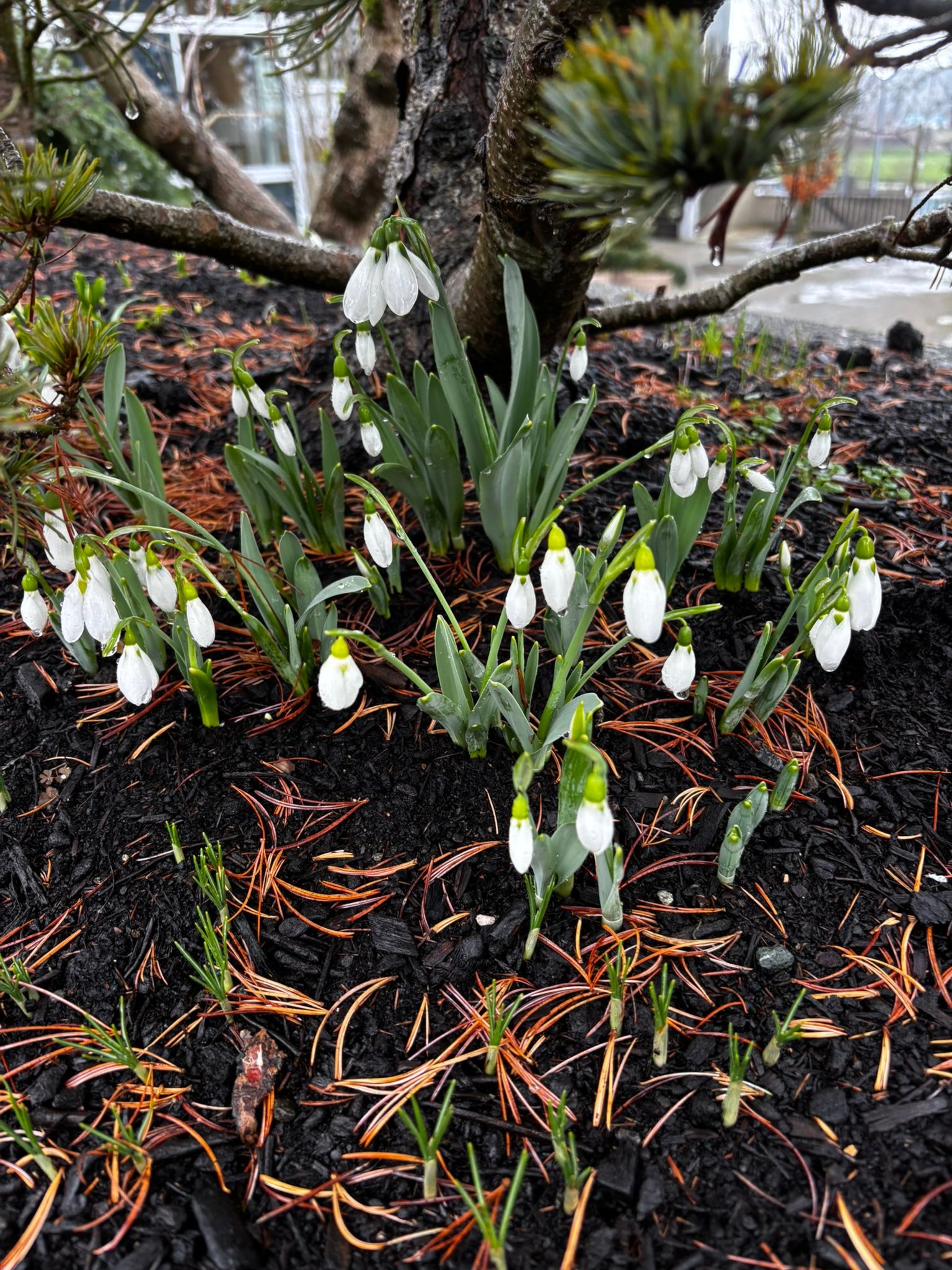 Thank you 😊 for this day! awesome day with my east nation sisters.