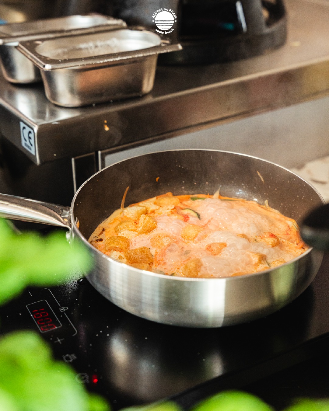 🇵🇹 Nada como o calor de um curry tailandês feito com alma. @sproutsnbasil abre as portas. Tu abres o apetite.
🇬🇧 Nothing beats a soulful Thai curry on a chilly day. @sproutsnbasil is open. Just bring your appetite.
#AldeiaDaPraia #SproutsNBasil #ThaiFoodSintra