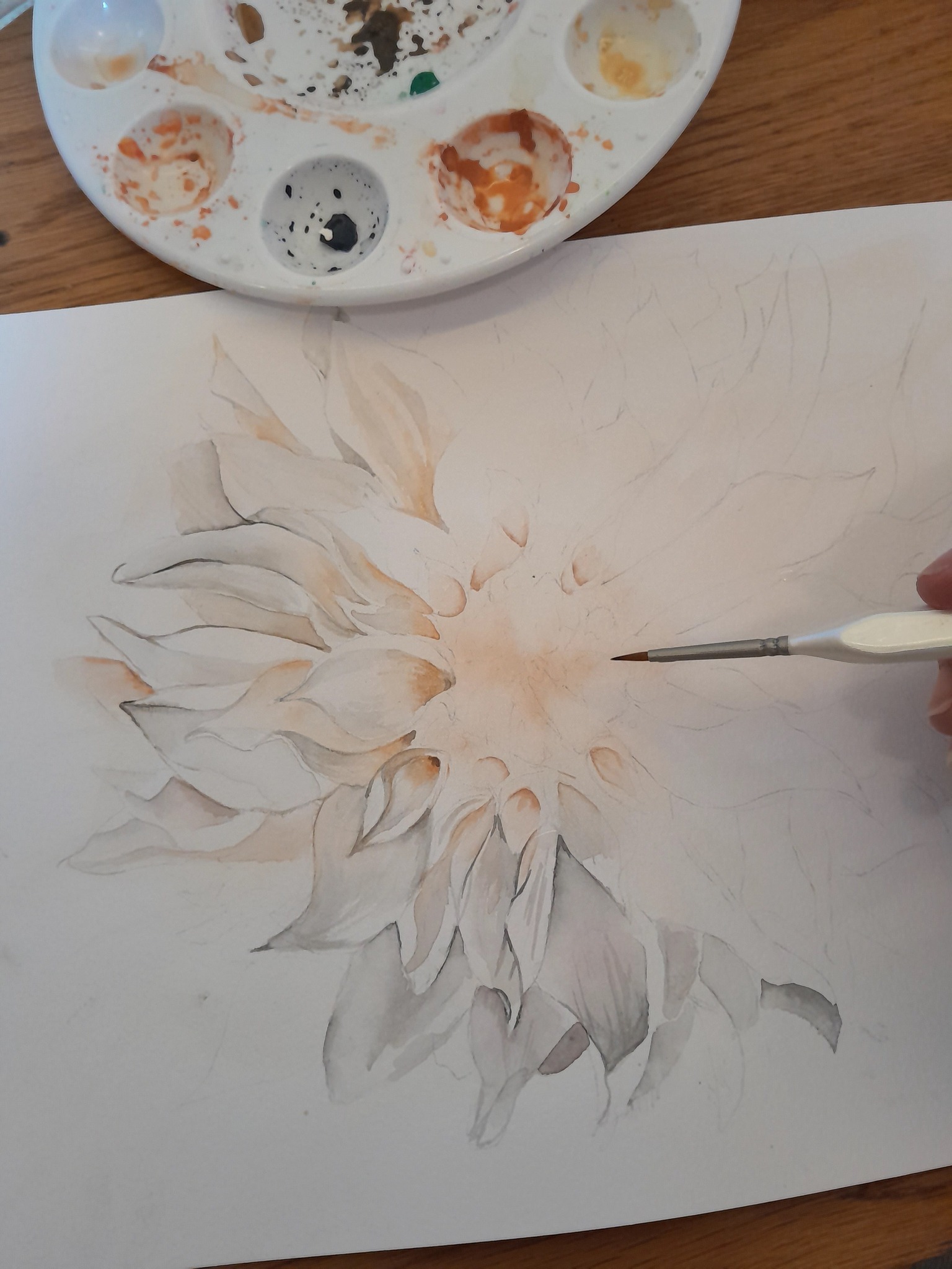 Do I paint digitally, or by hand? By hand. Why? There is something beautifully imperfect and personal created when you paint by hand, which in our world of ai, is what is feels more genuine, more unique and more beautiful, in my opinion, anyway! Would you agree?
#watercolour #watercolourartist #fromsallywithlove #dailia #paintingbyhand #noaihere